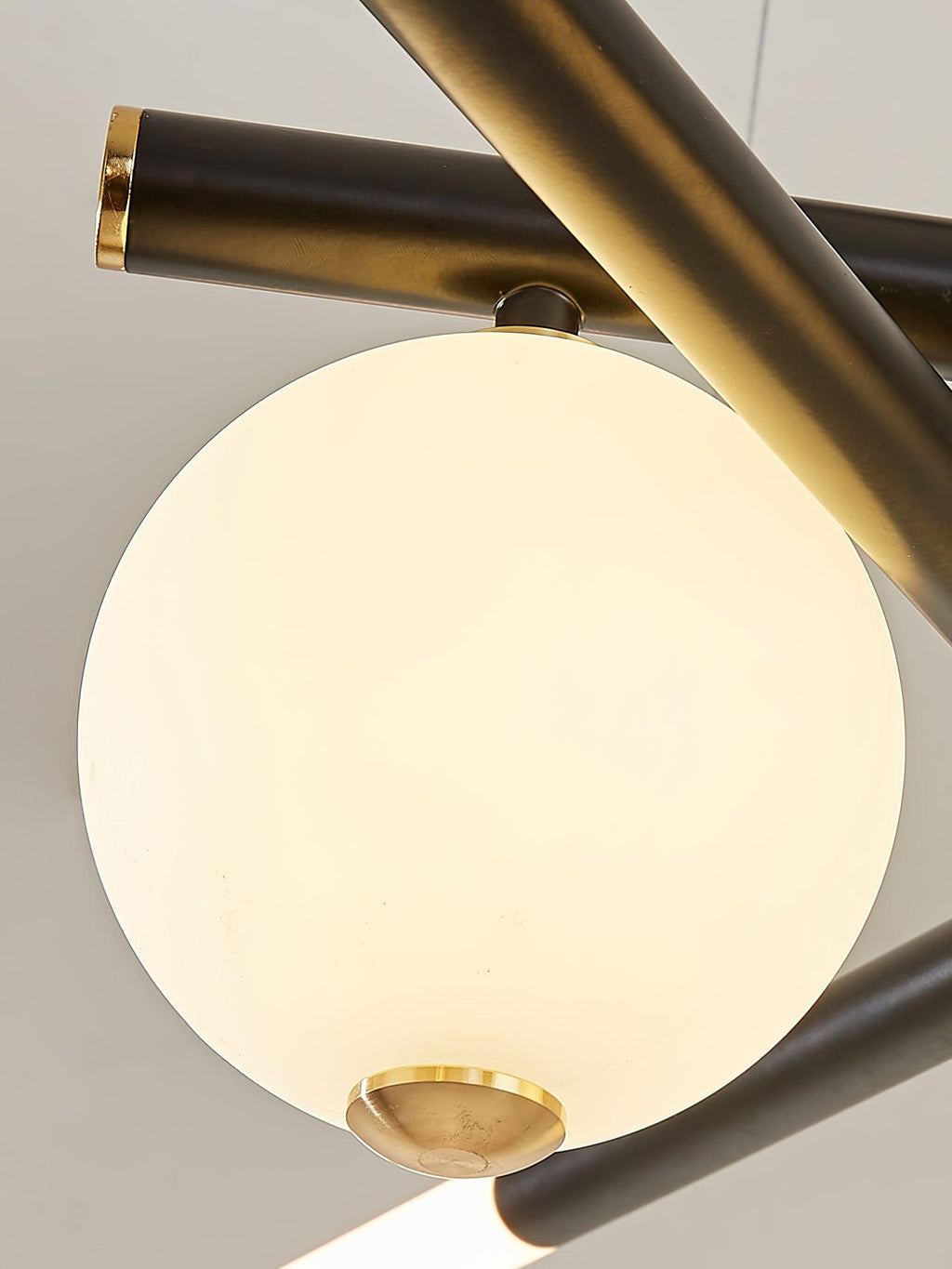 cellar-suspension-anzaz--18