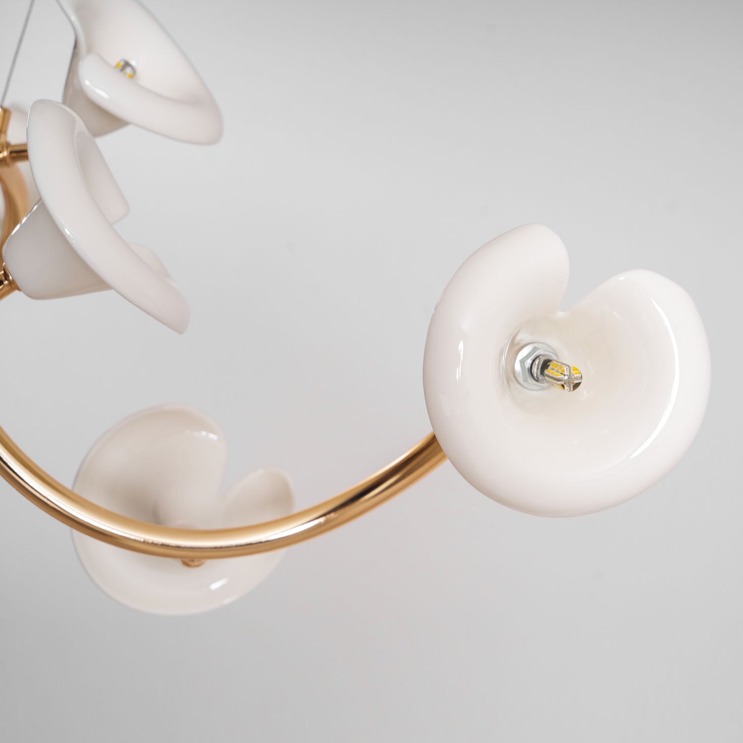 cerisium-blossom-chandelier-anzaz--35