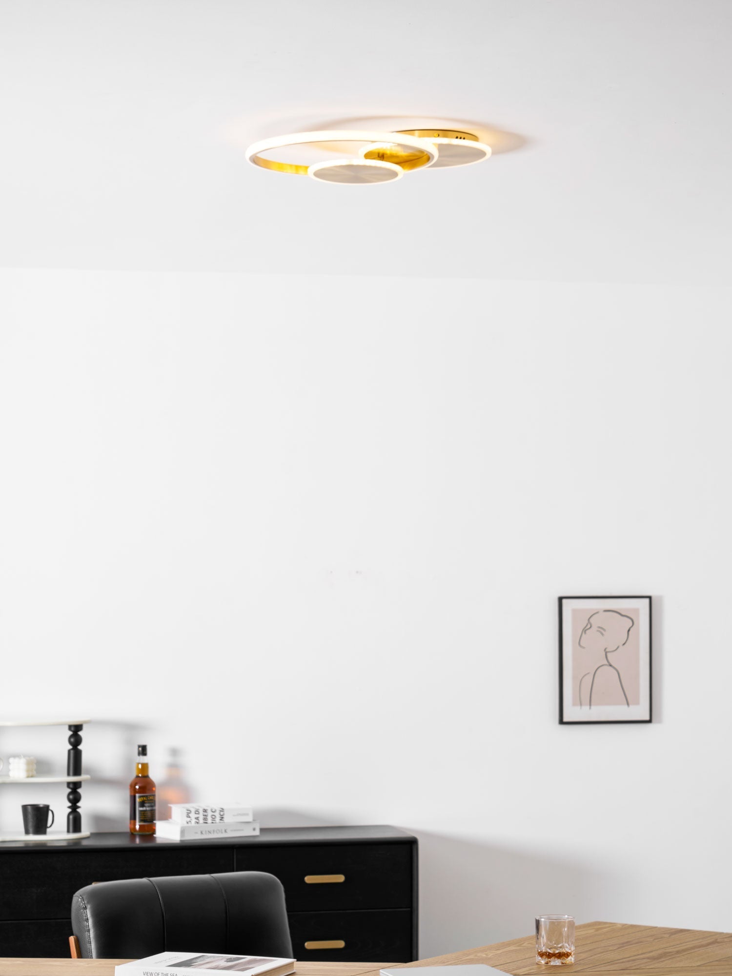 circles-led-ceiling-light-anzaz--32