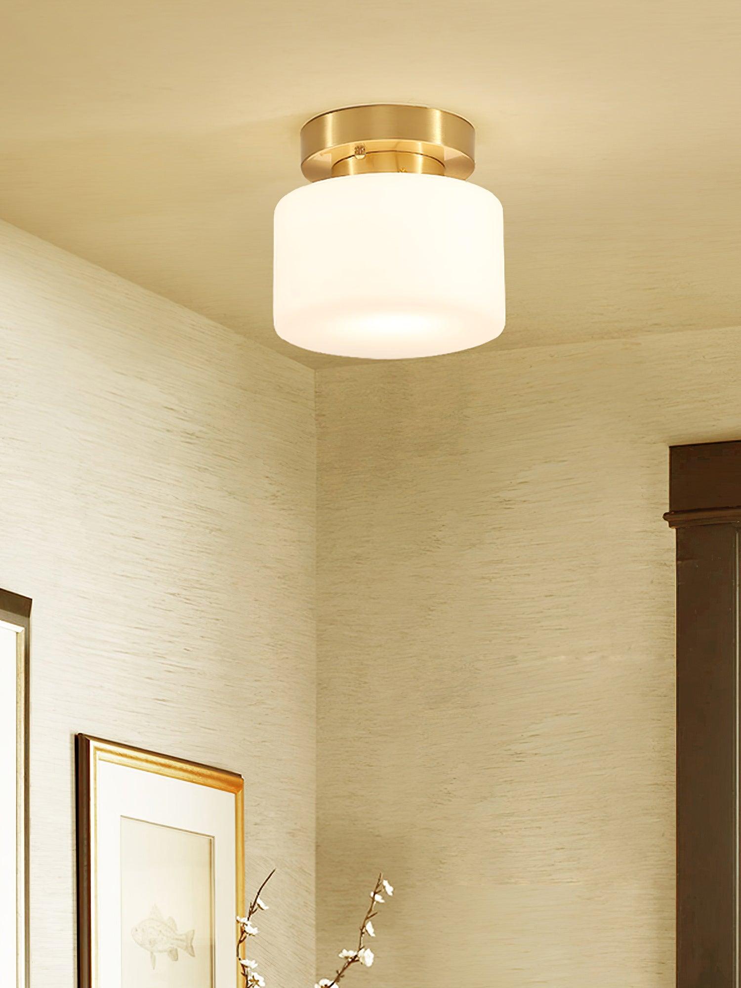 clinio-flush-mount-ceiling-light-anzaz--28