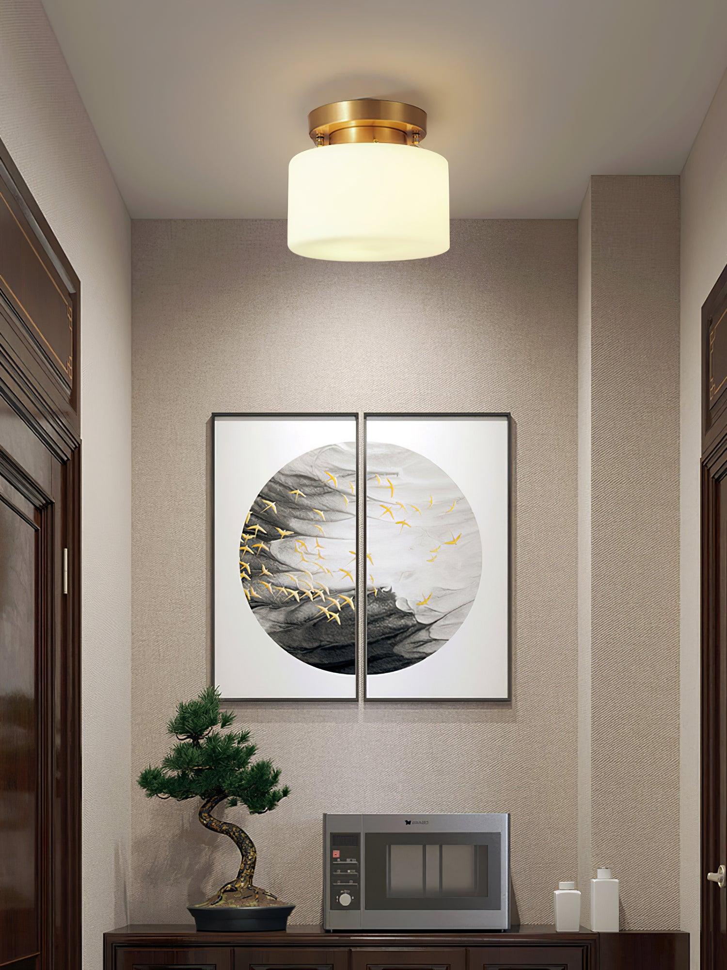 clinio-flush-mount-ceiling-light-anzaz--29