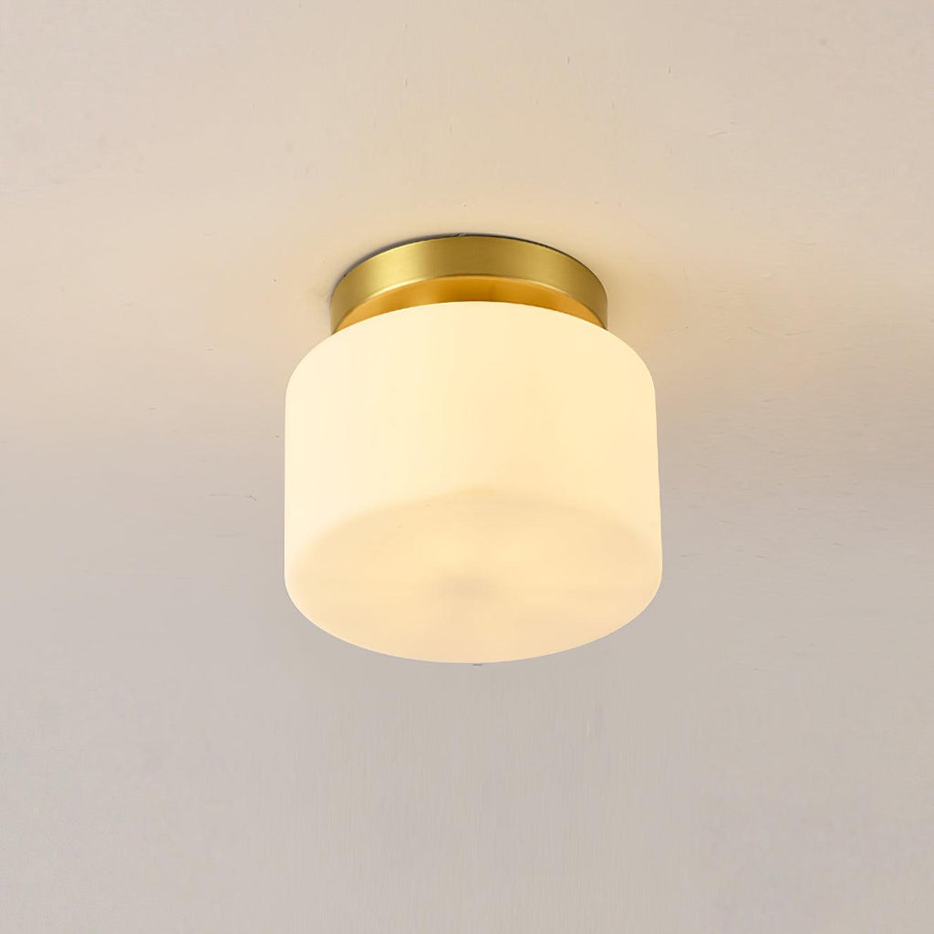 clinio-flush-mount-ceiling-light-anzaz--33