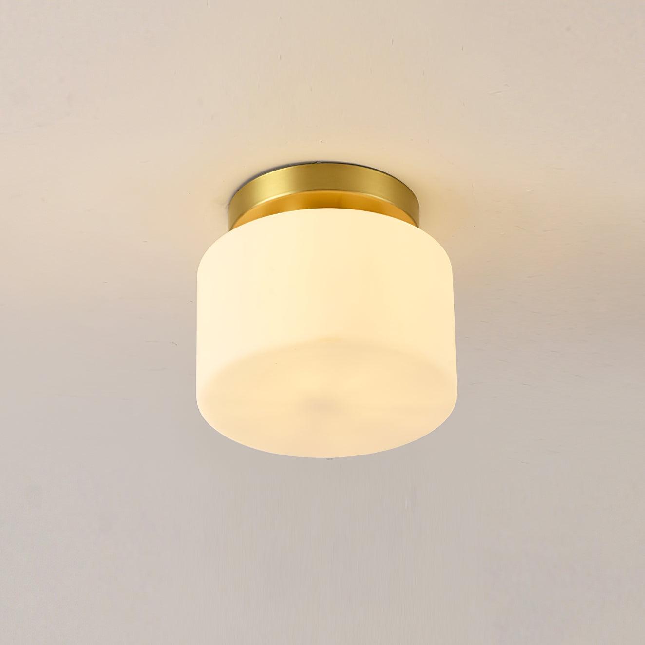 clinio-flush-mount-ceiling-light-anzaz--33