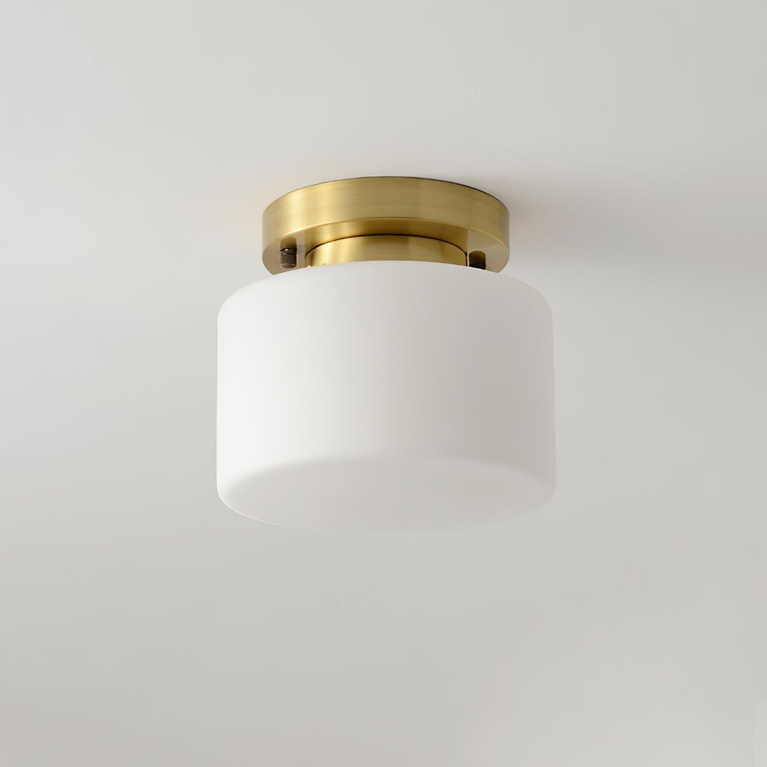 clinio-flush-mount-ceiling-light-anzaz--34