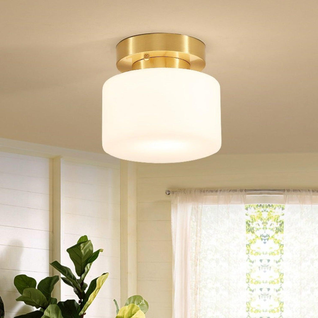 clinio-flush-mount-ceiling-light-anzaz--2