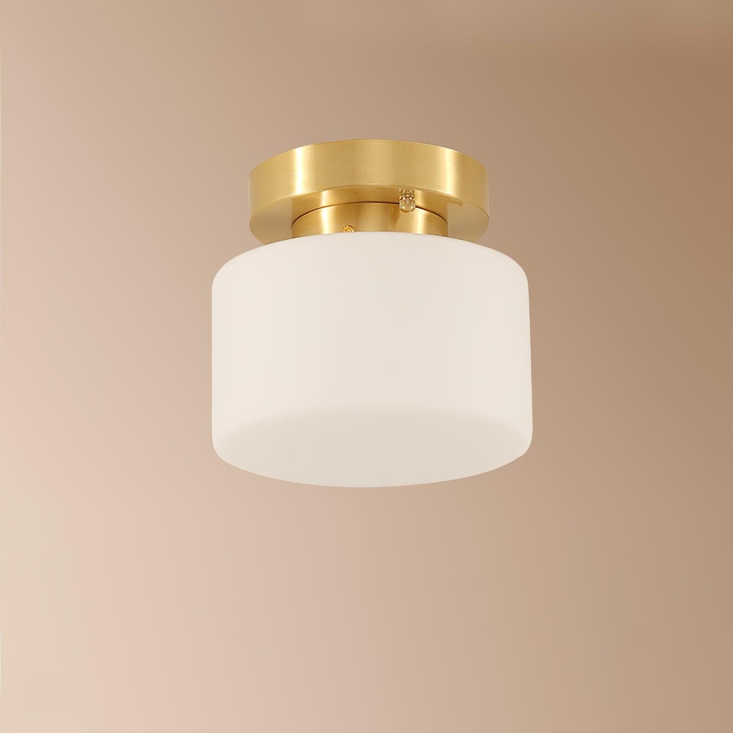 clinio-flush-mount-ceiling-light-anzaz--35