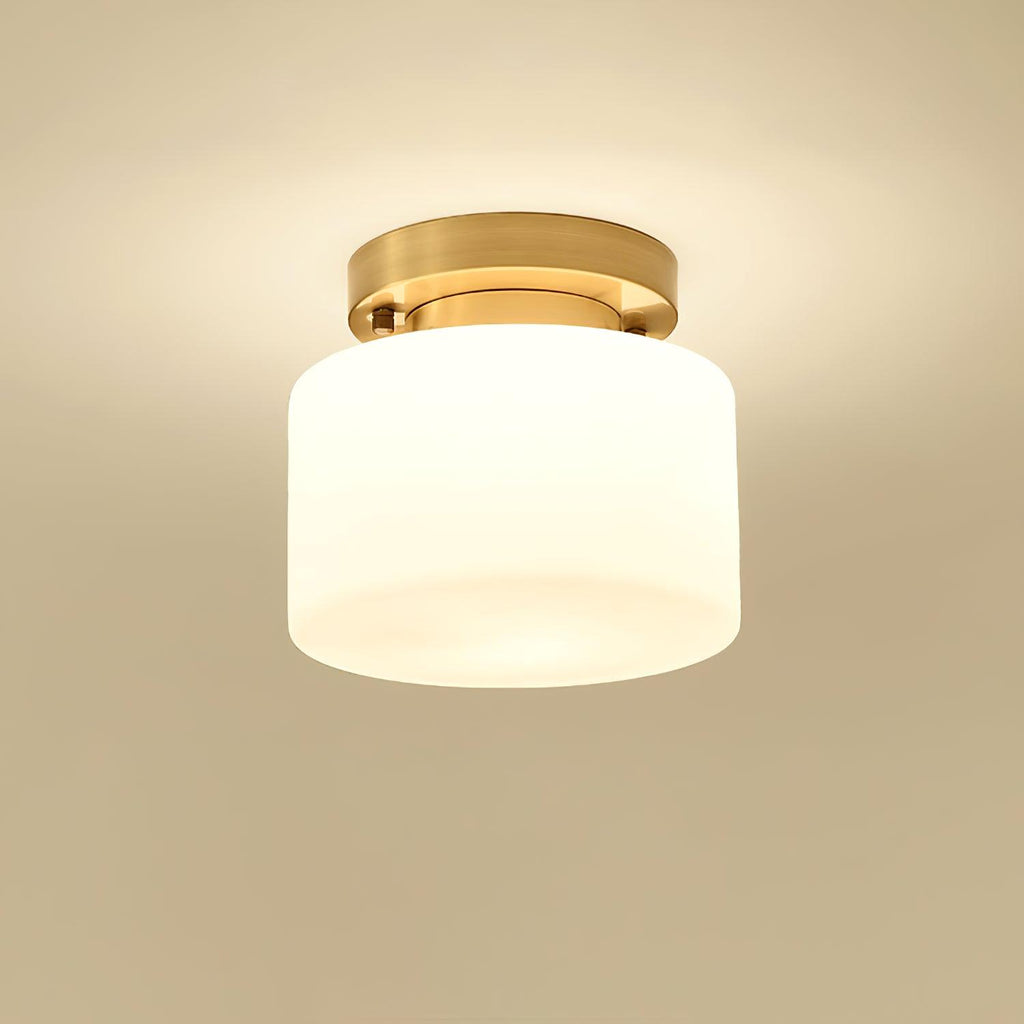 clinio-flush-mount-ceiling-light-anzaz--36