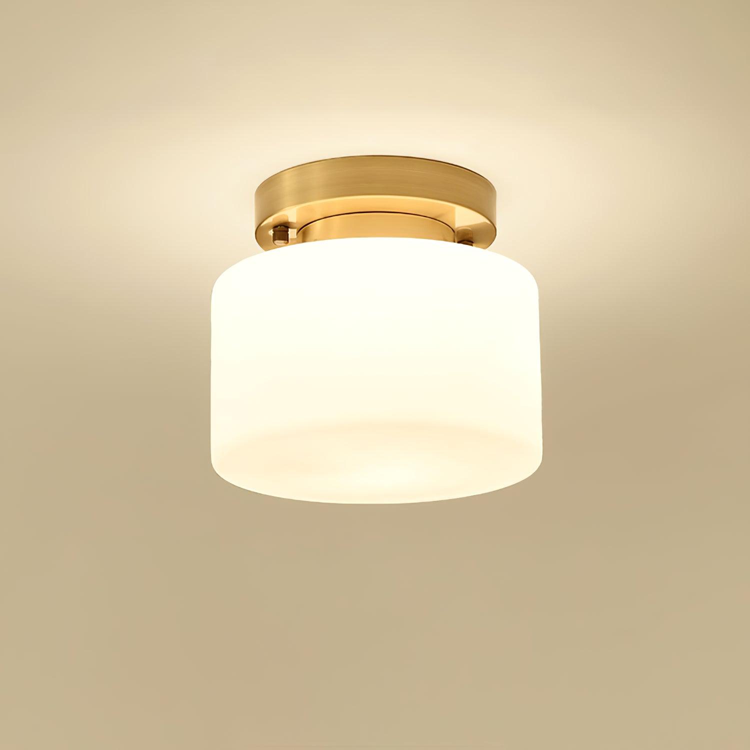 clinio-flush-mount-ceiling-light-anzaz--36