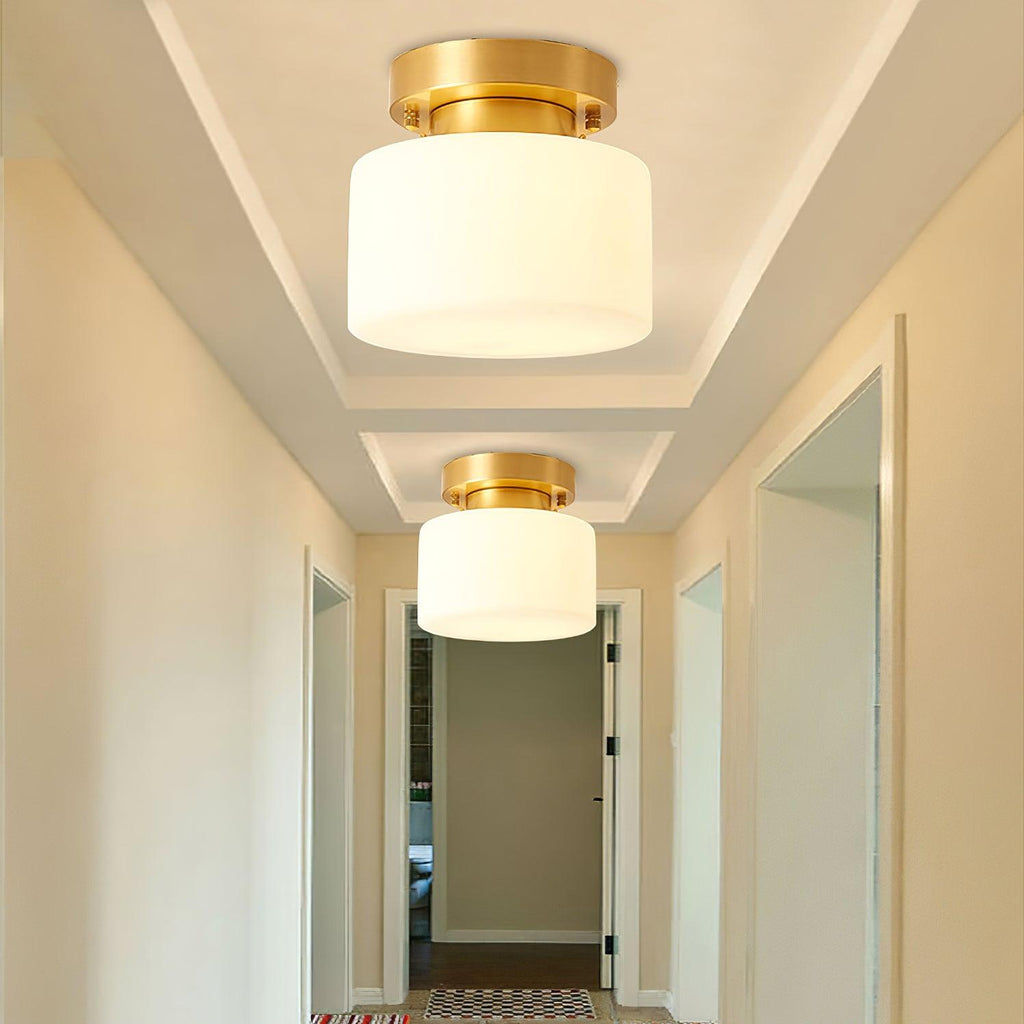clinio-flush-mount-ceiling-light-anzaz--14