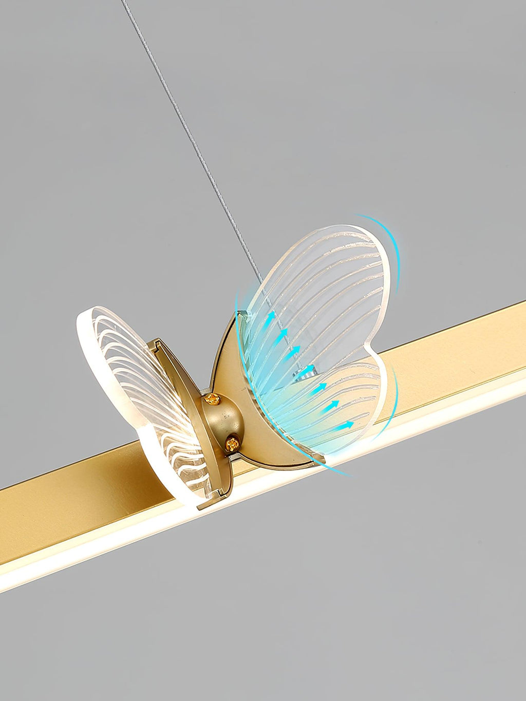 cohen-butterfly-chandelier-anzaz--4