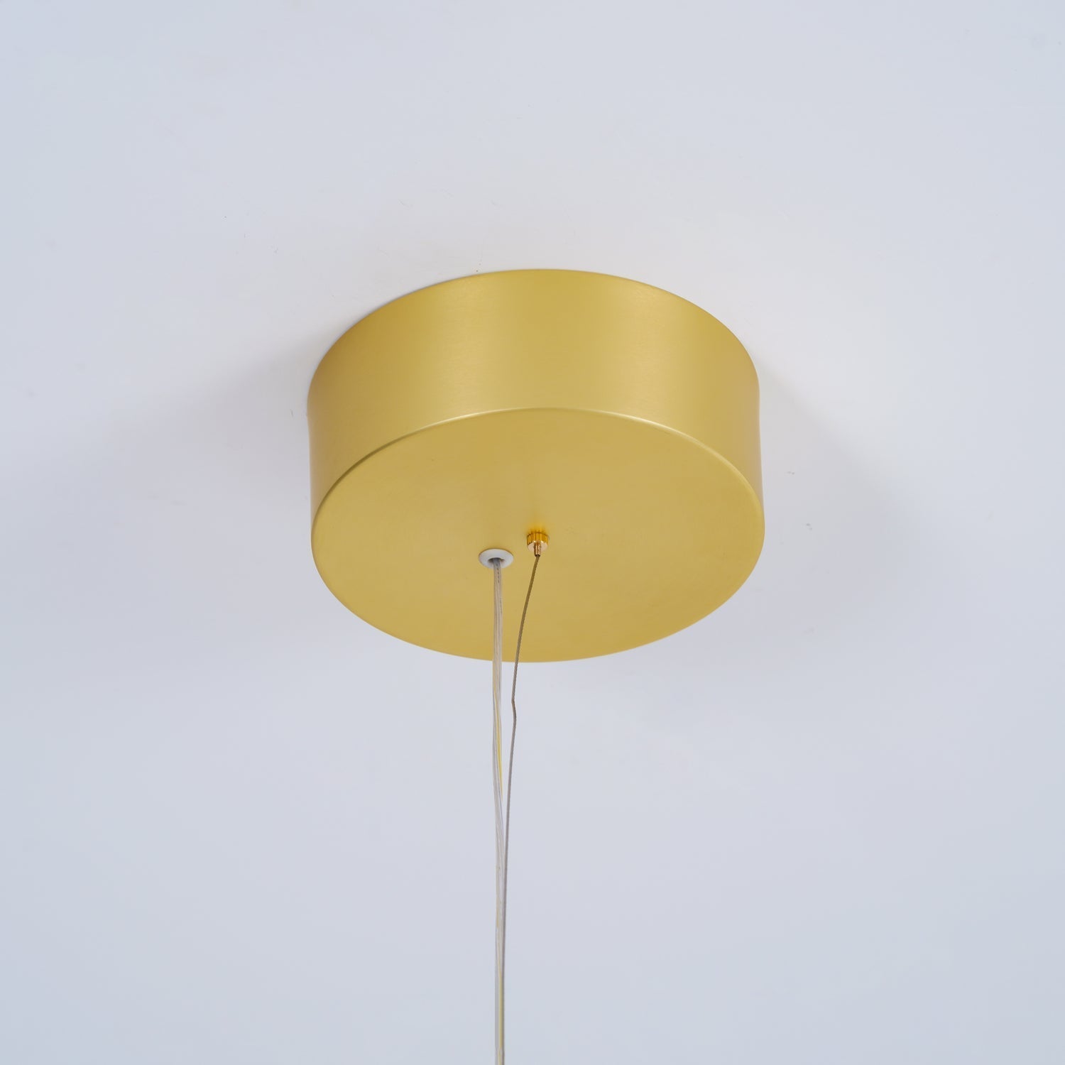 coordinates-suspension-anzaz--51