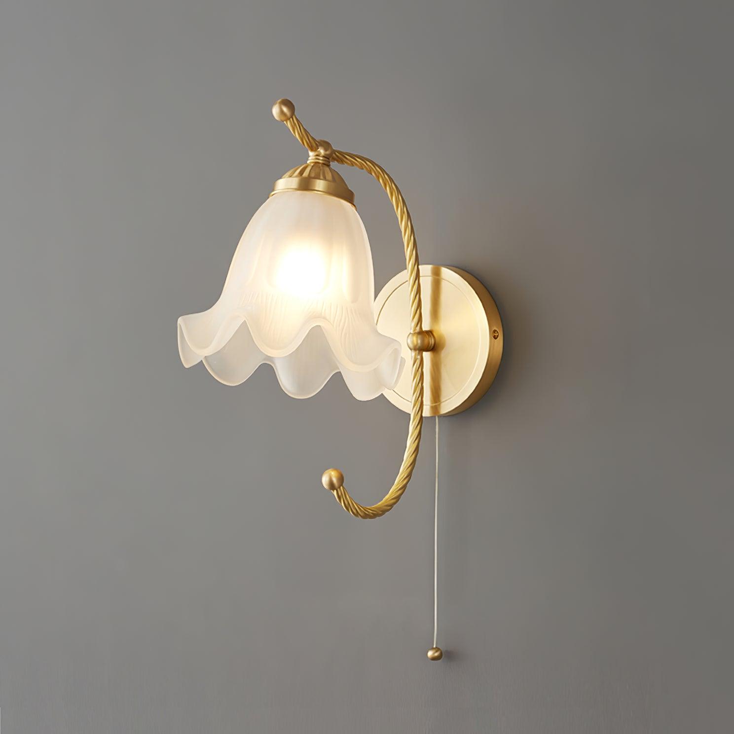 curved-gooseneck-brass-glass-sconce-anzaz--9