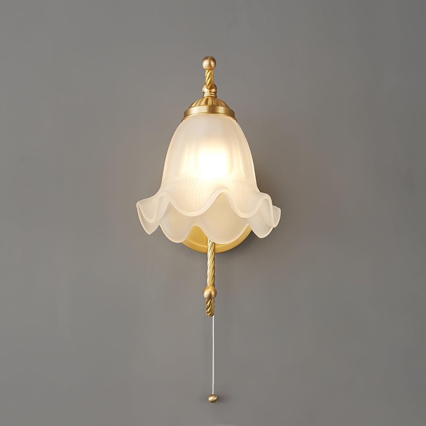 curved-gooseneck-brass-glass-sconce-anzaz--11