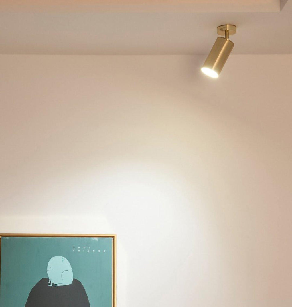 rotatable-spotlight-wall-light-anzaz--42