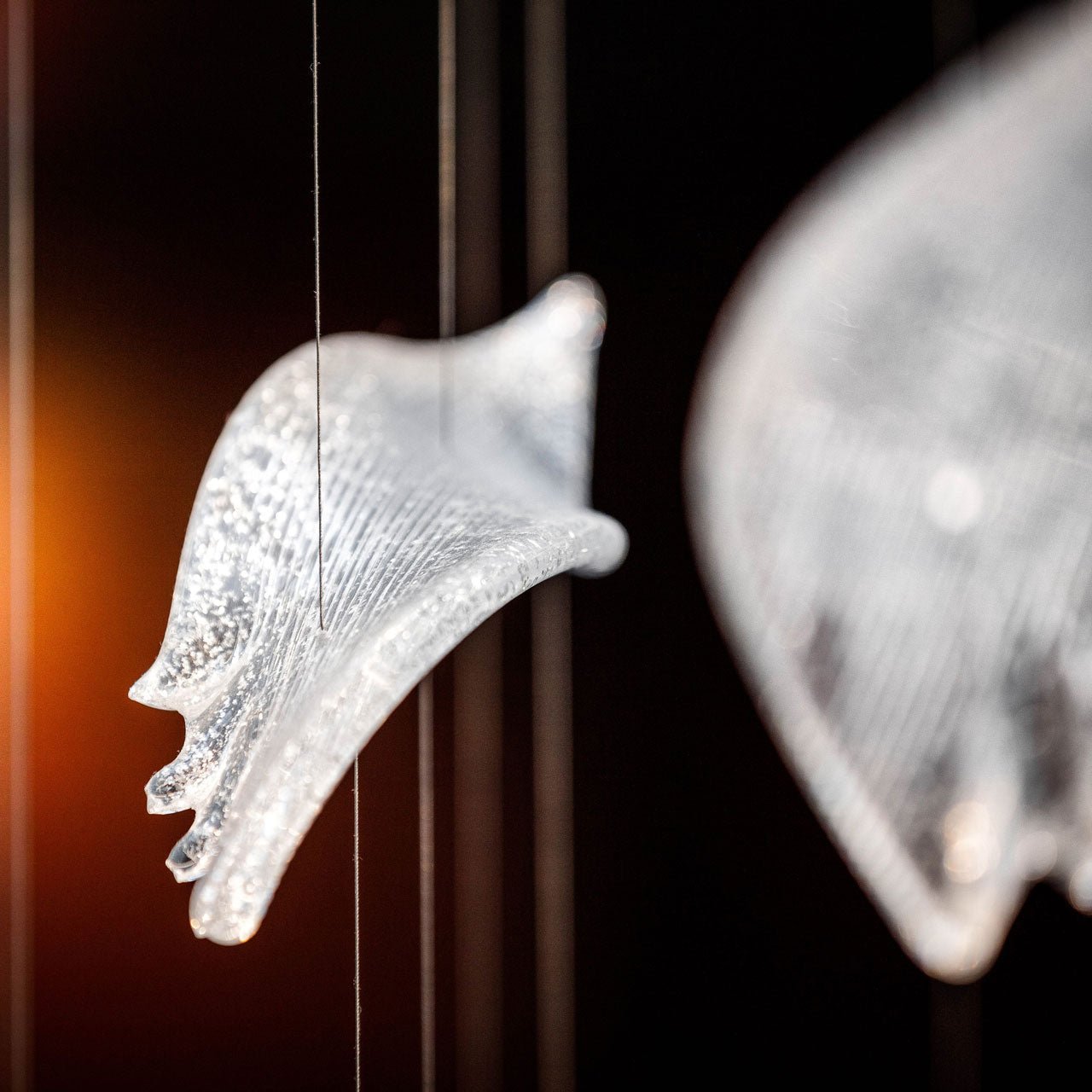 flying-glass-feather-chandelier-anzaz--13