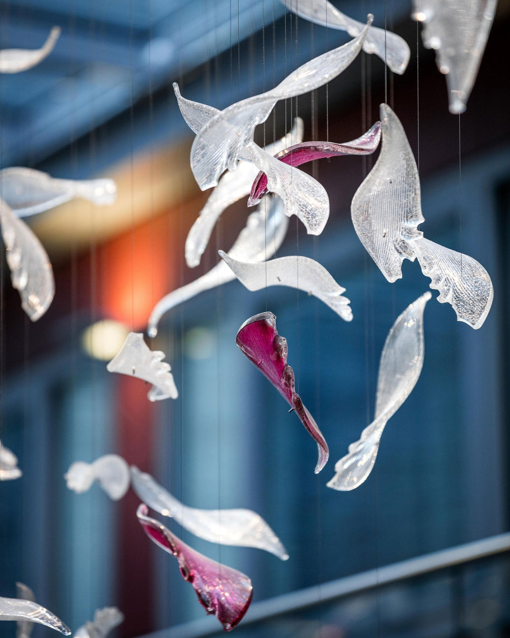 flying-glass-feather-chandelier-anzaz-Clear & Pink-4