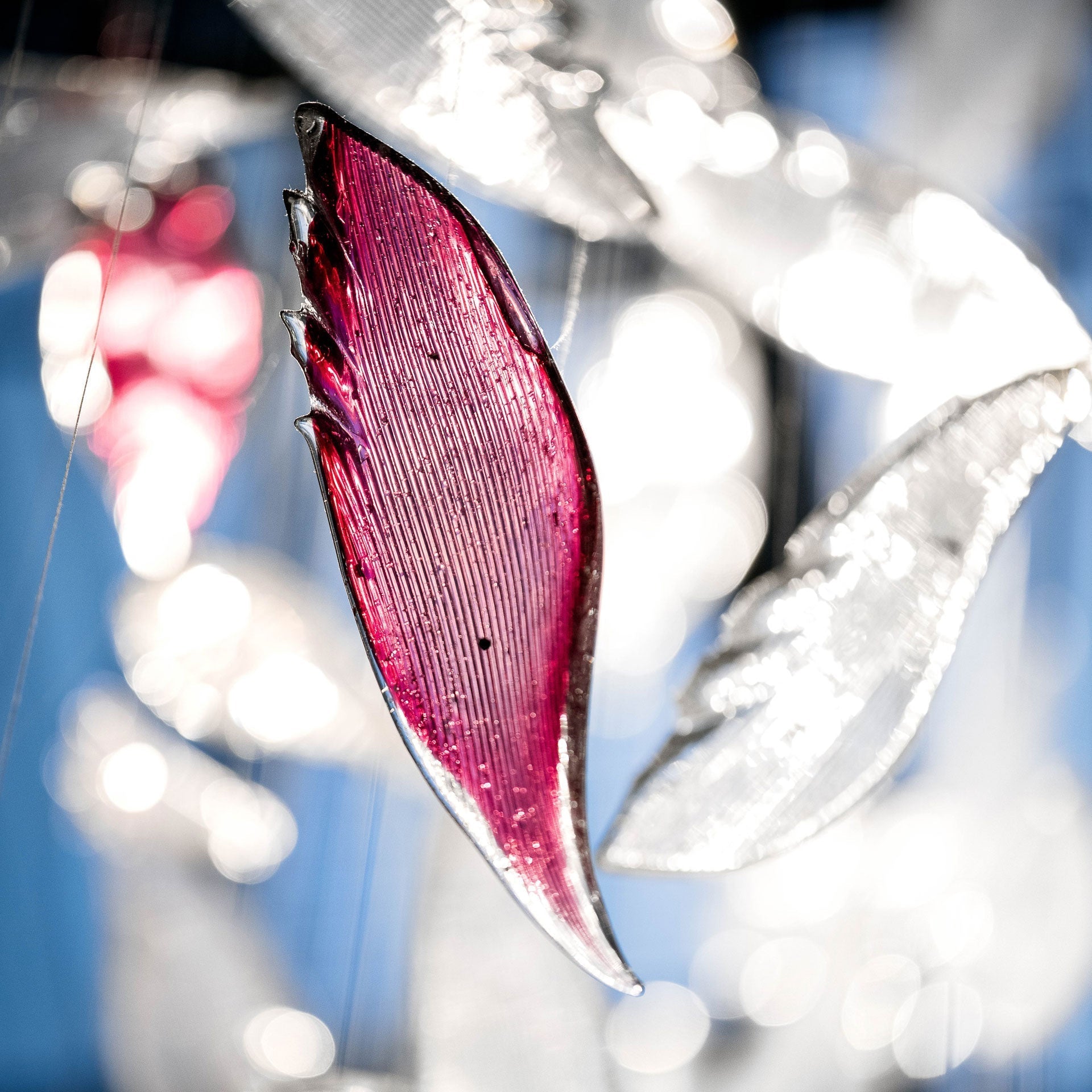 flying-glass-feather-chandelier-anzaz--7