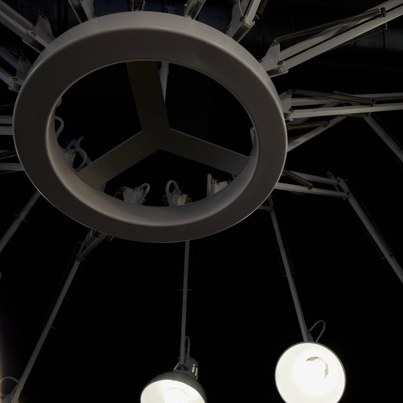 dear-ingo-chandeliers-anzaz--17