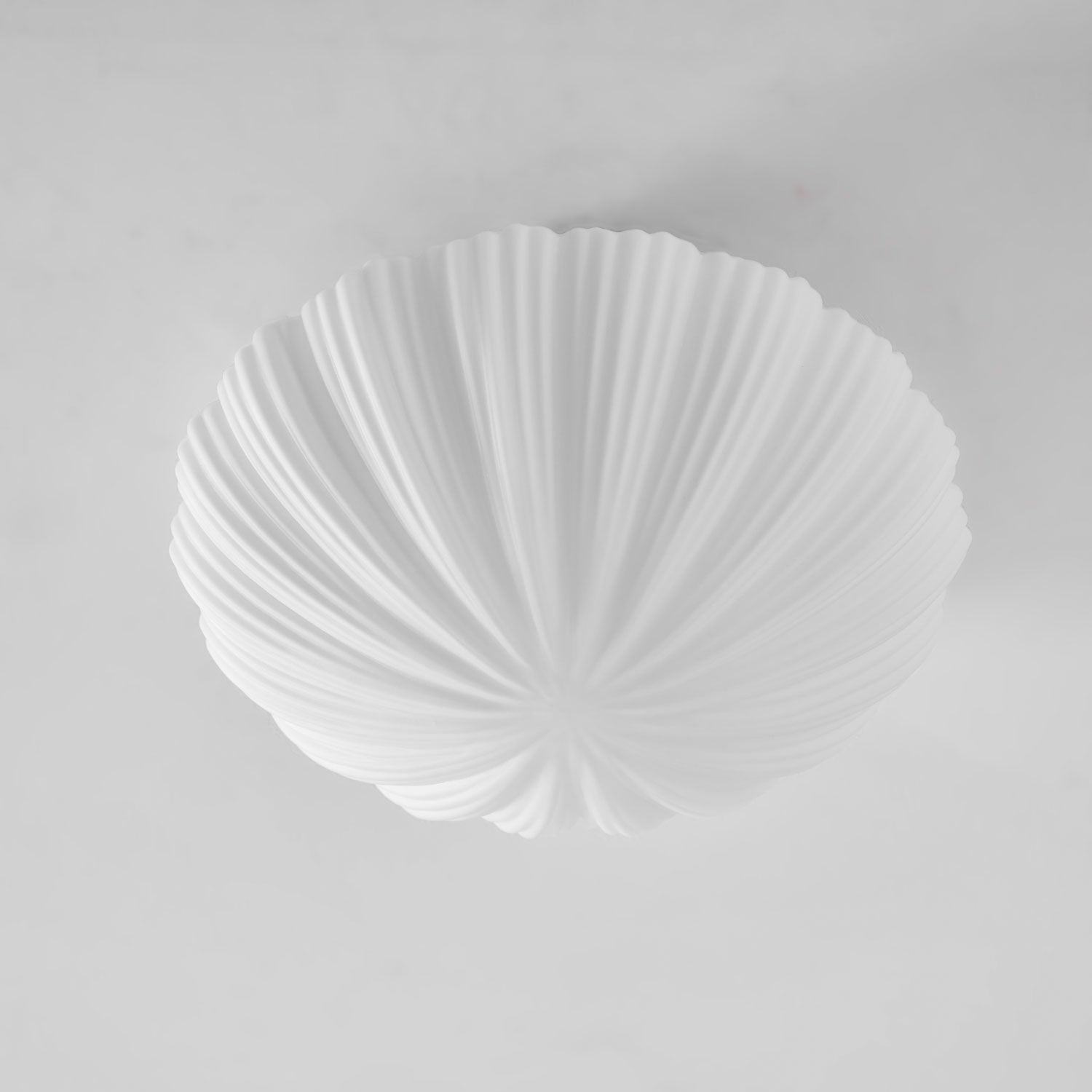 devan-seashell-ceiling-lamp-anzaz--35