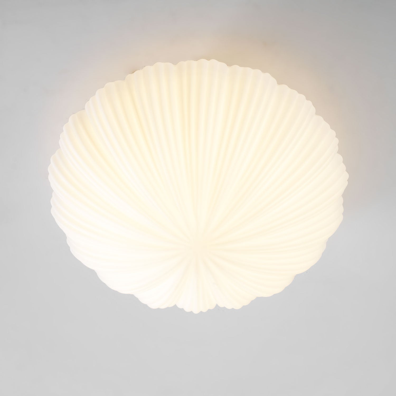 devan-seashell-ceiling-lamp-anzaz--36