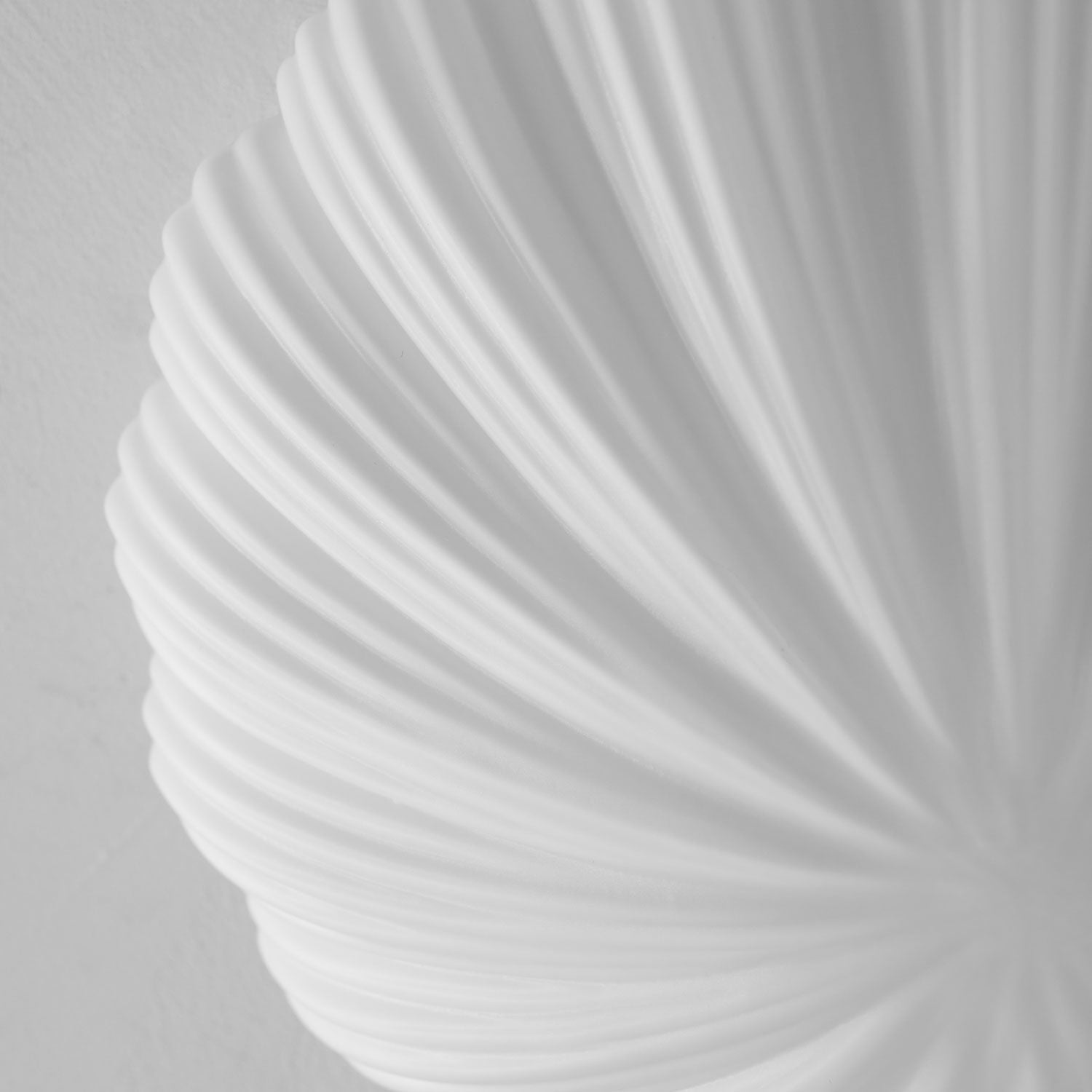 devan-seashell-ceiling-lamp-anzaz--37