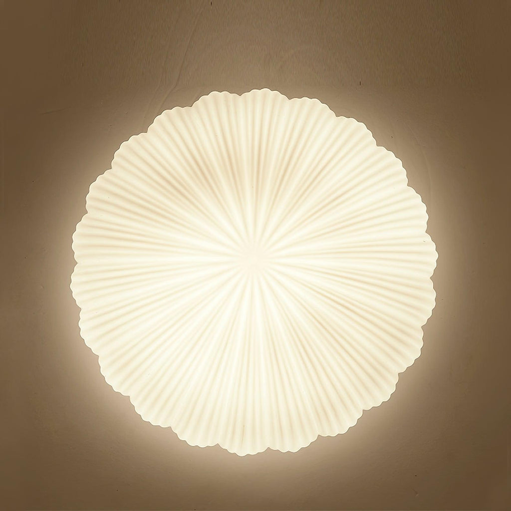 devan-seashell-ceiling-lamp-anzaz--11