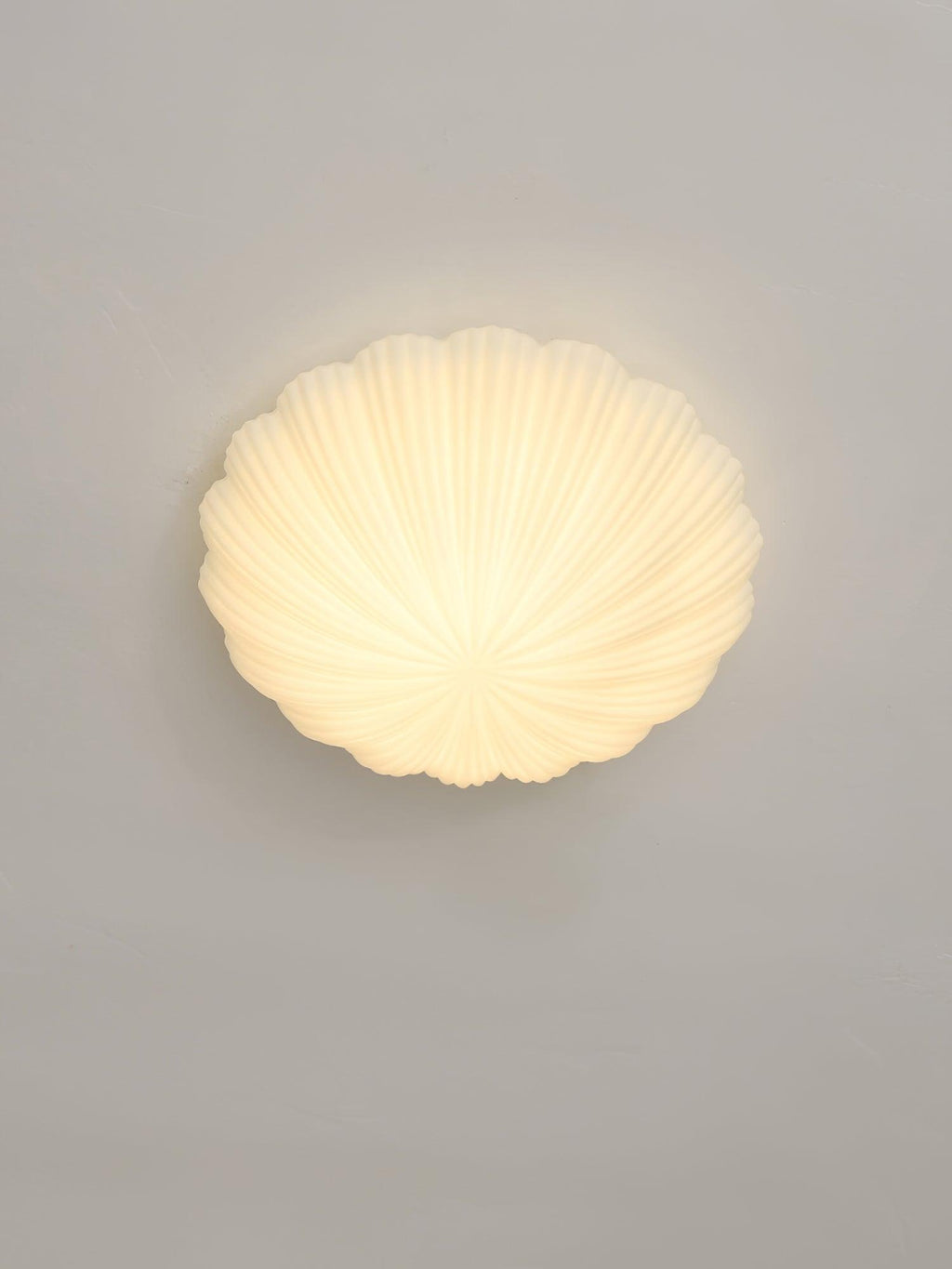 devan-seashell-ceiling-lamp-anzaz--17
