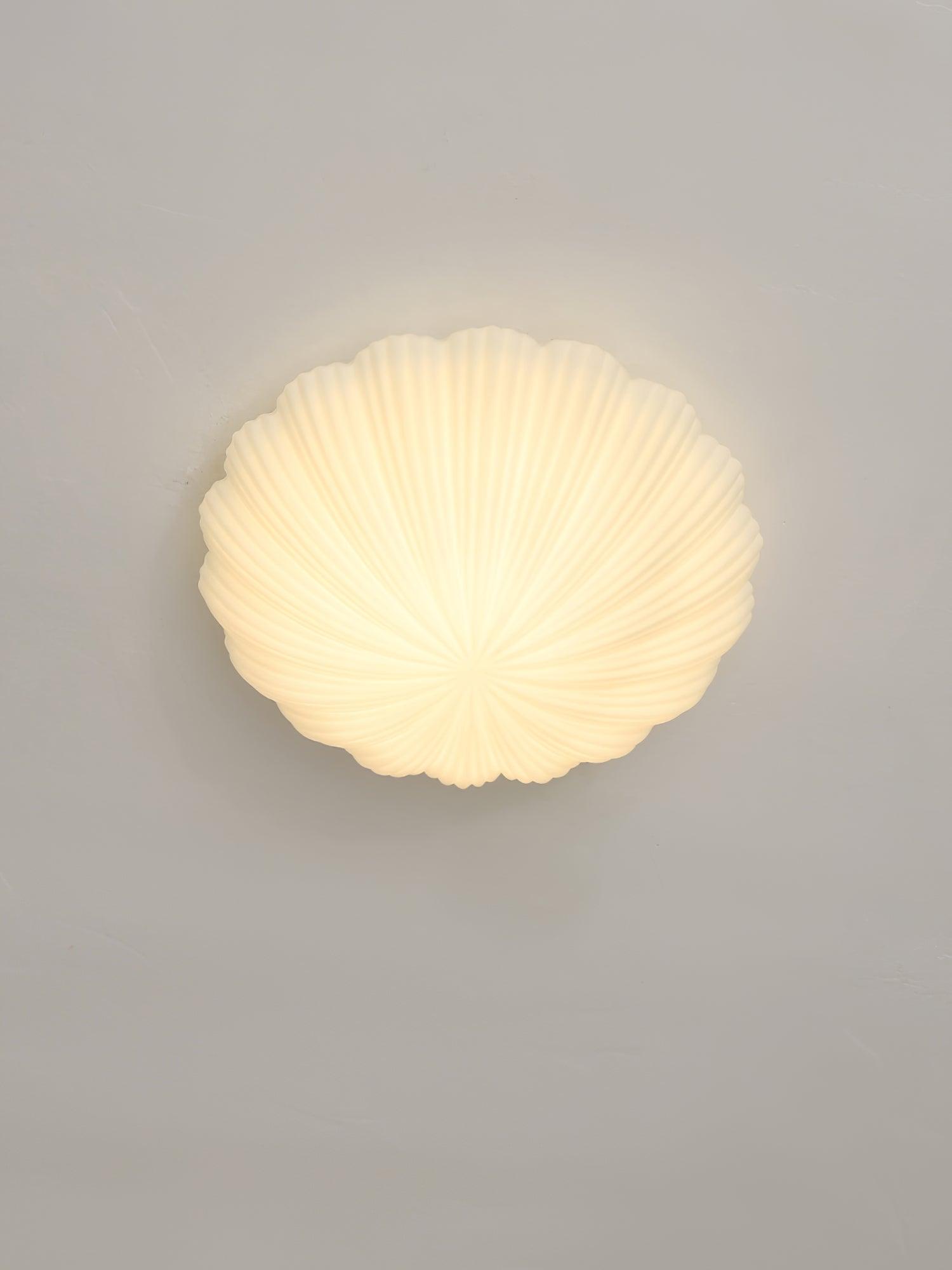 devan-seashell-ceiling-lamp-anzaz--17