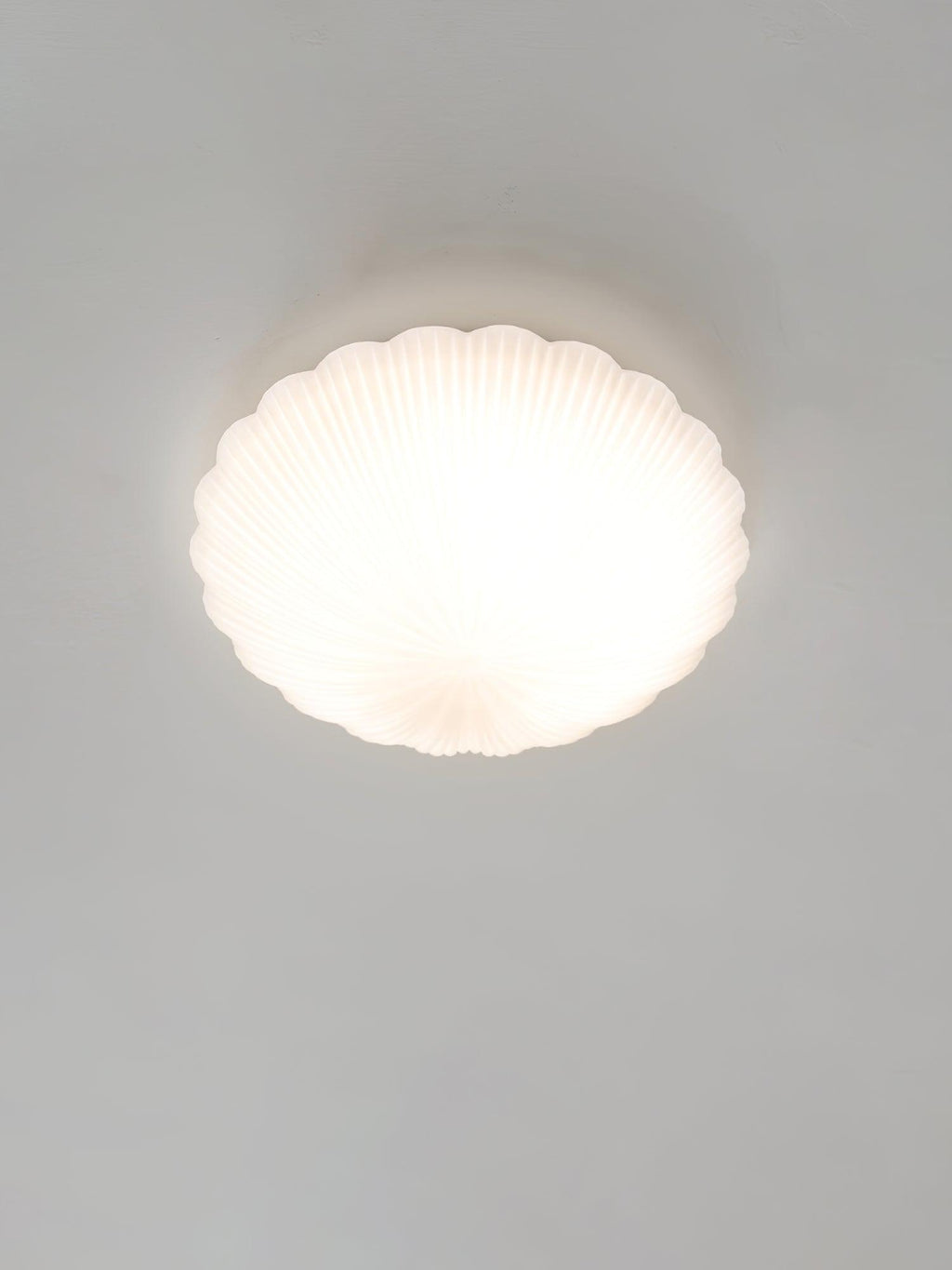 devan-seashell-ceiling-lamp-anzaz--22