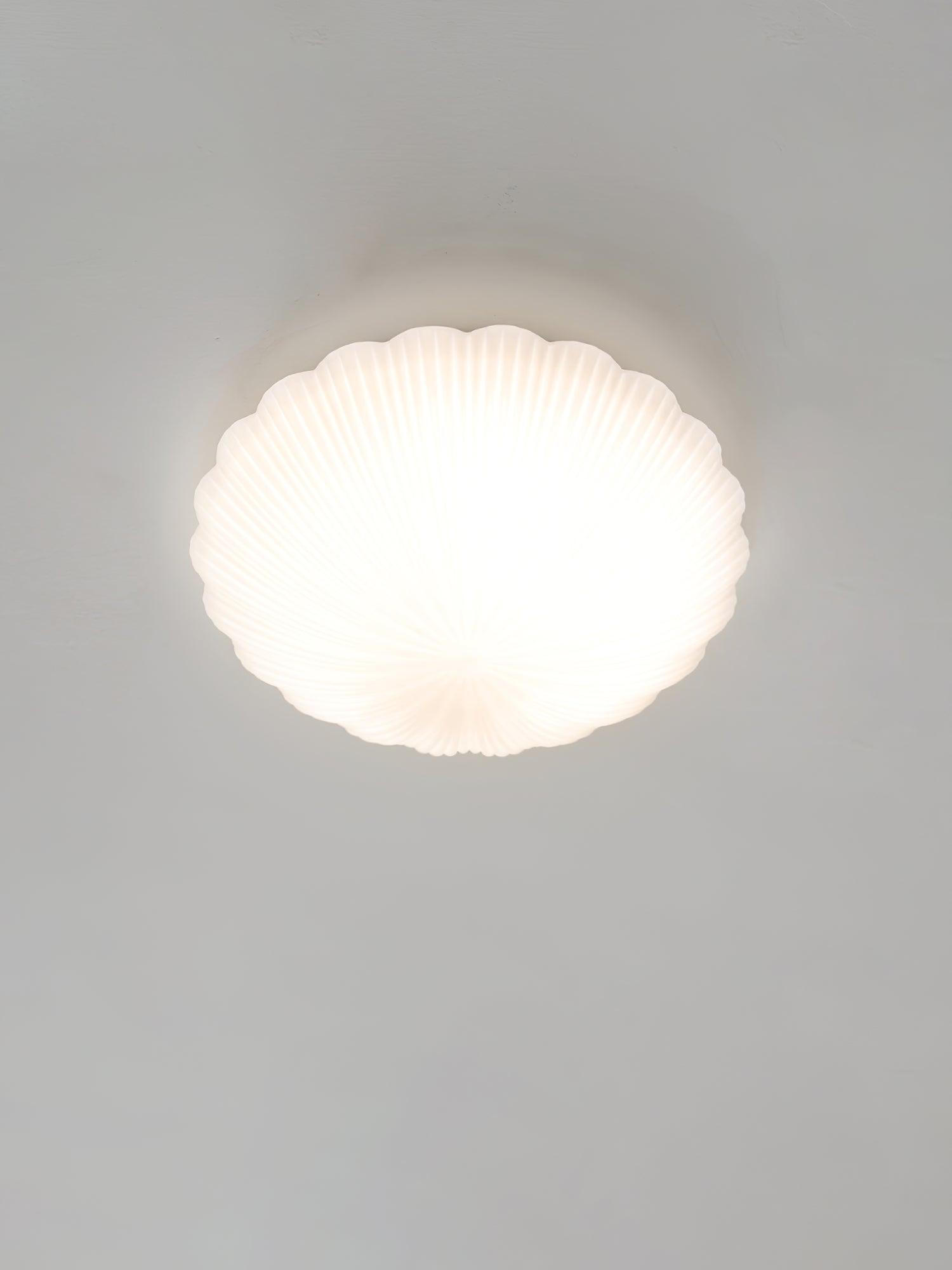 devan-seashell-ceiling-lamp-anzaz--22