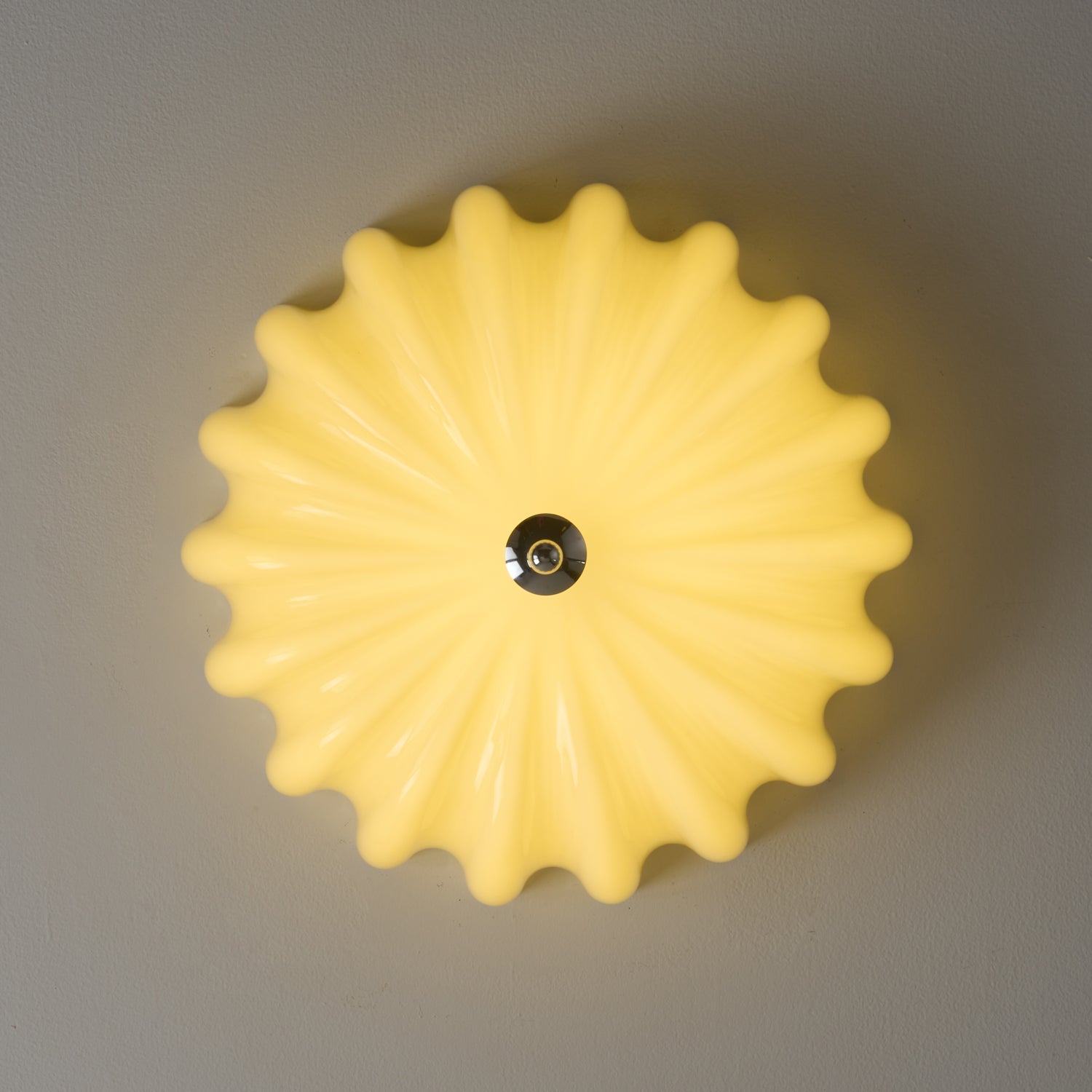 dewdrop-shell-ceiling-light-anzaz--19