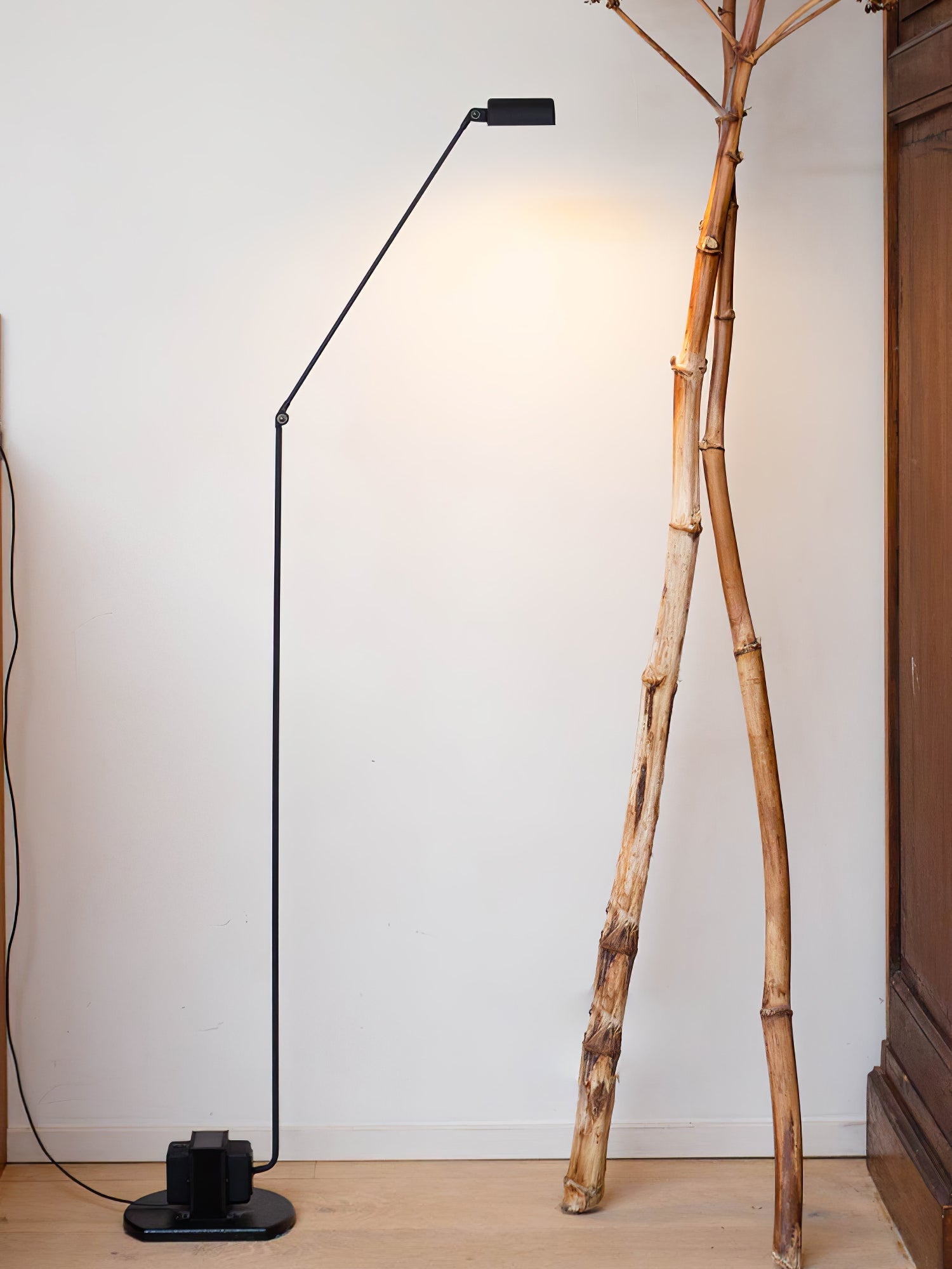 dynamo-floor-lamp-anzaz--34