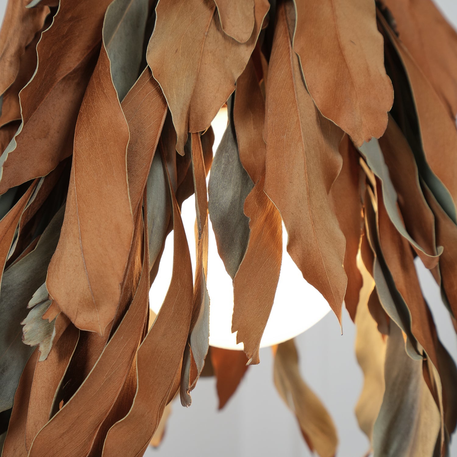 dried-branch-leaf-pendant-lamp-anzaz--26