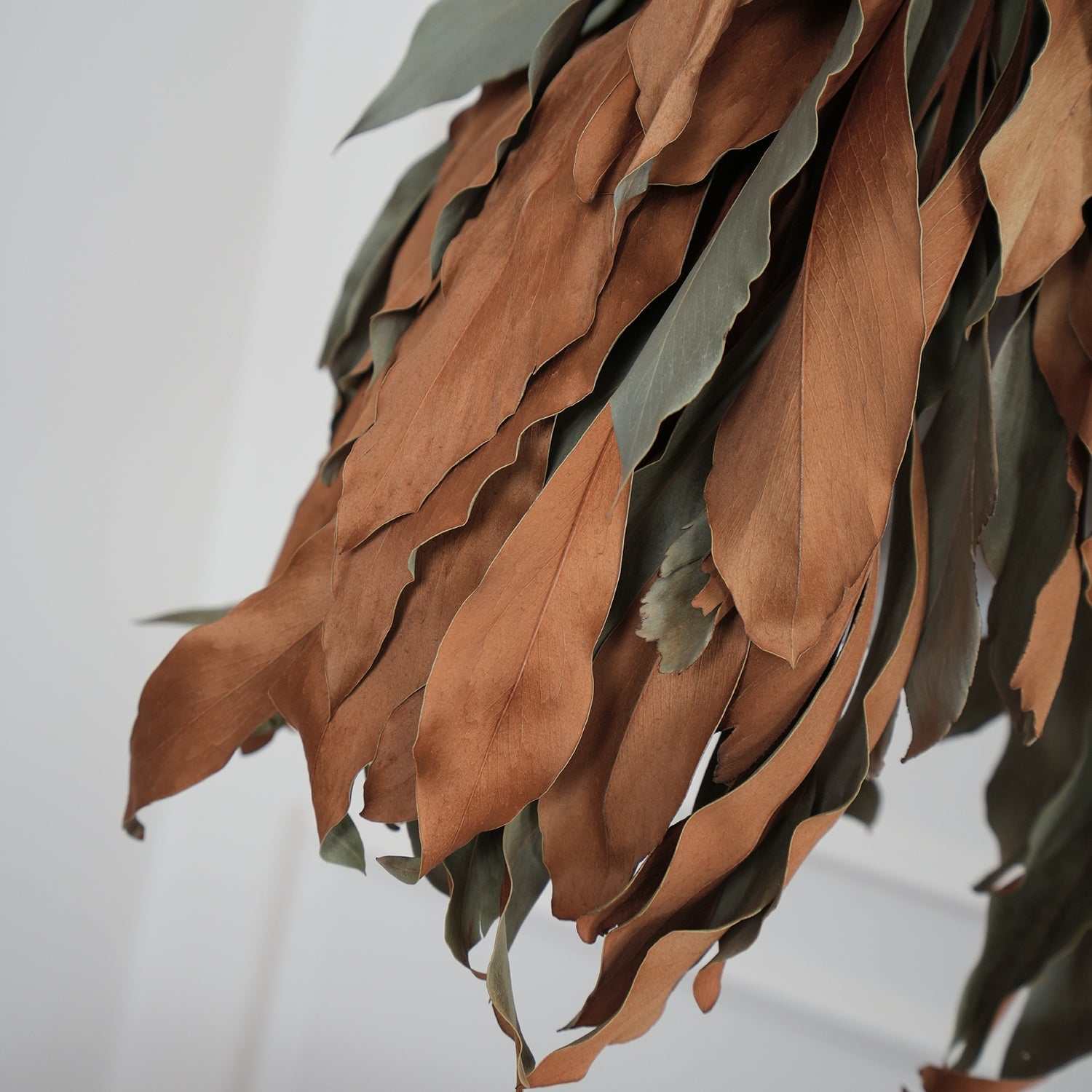 dried-branch-leaf-pendant-lamp-anzaz--17