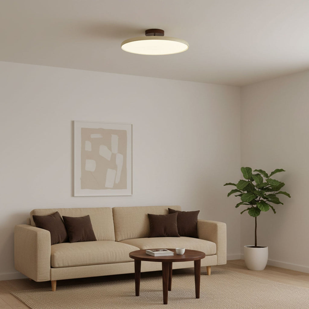 drift-adjustable-ceiling-lamp-anzaz--21