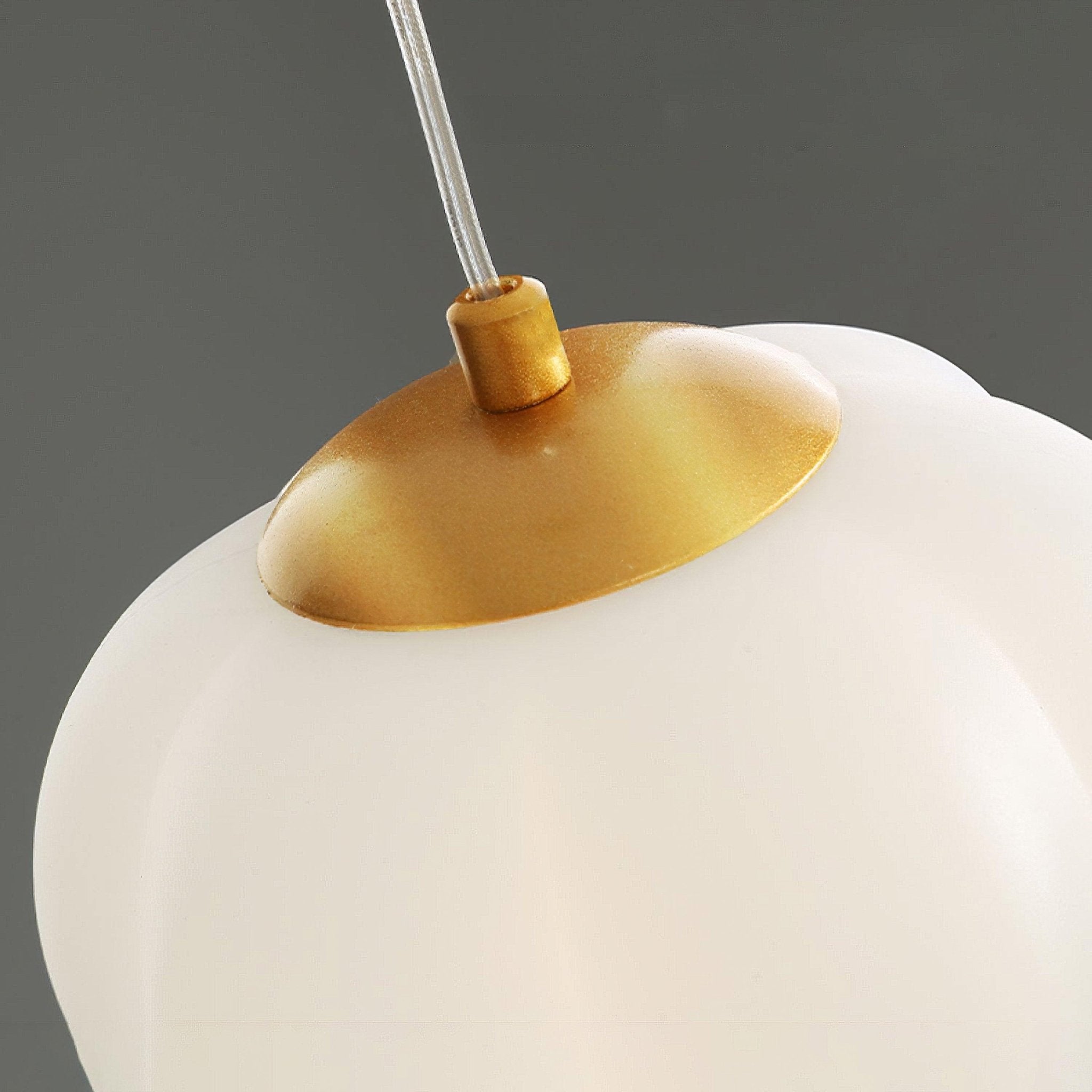 elegant-floral-pendant-light-anzaz--21