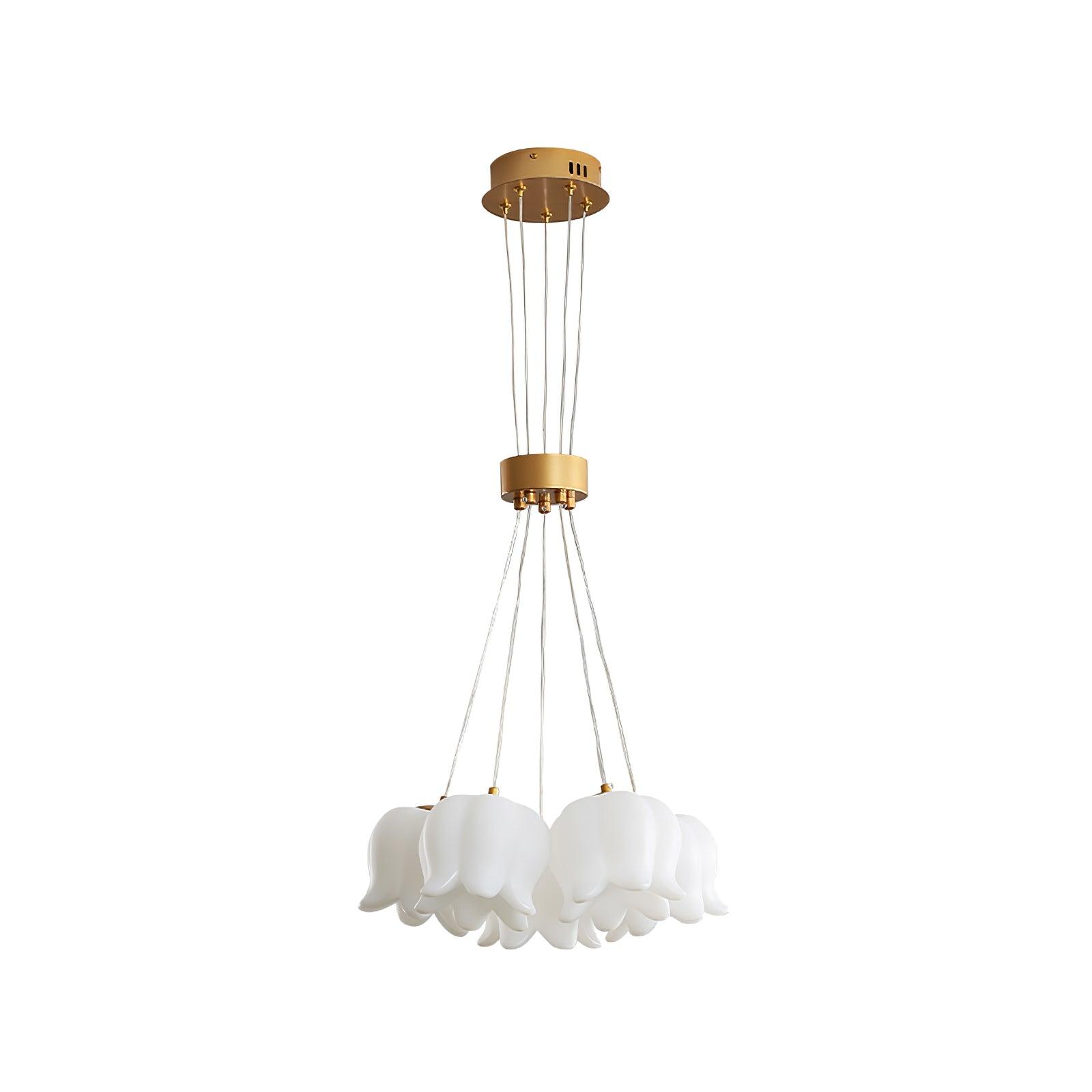 elegant-floral-pendant-light-anzaz--32