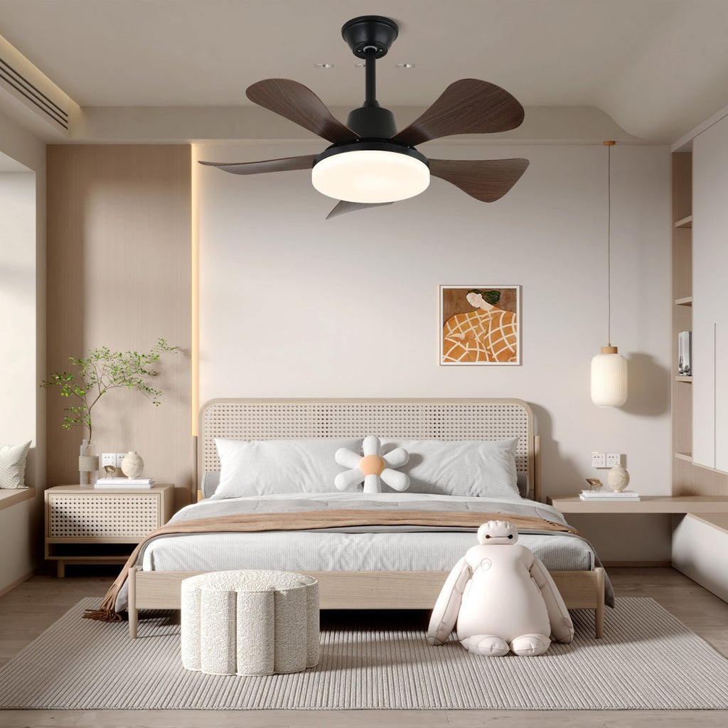 eliza-ceiling-fan-light-anzaz--4