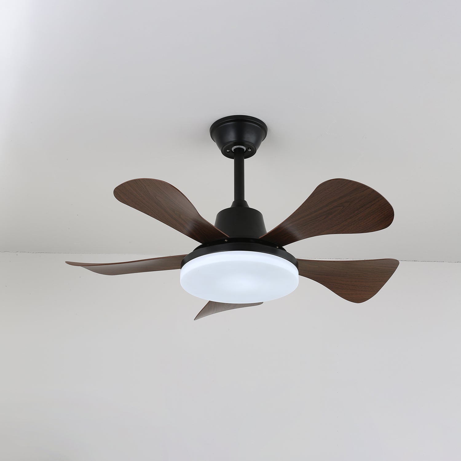 eliza-ceiling-fan-light-anzaz--5