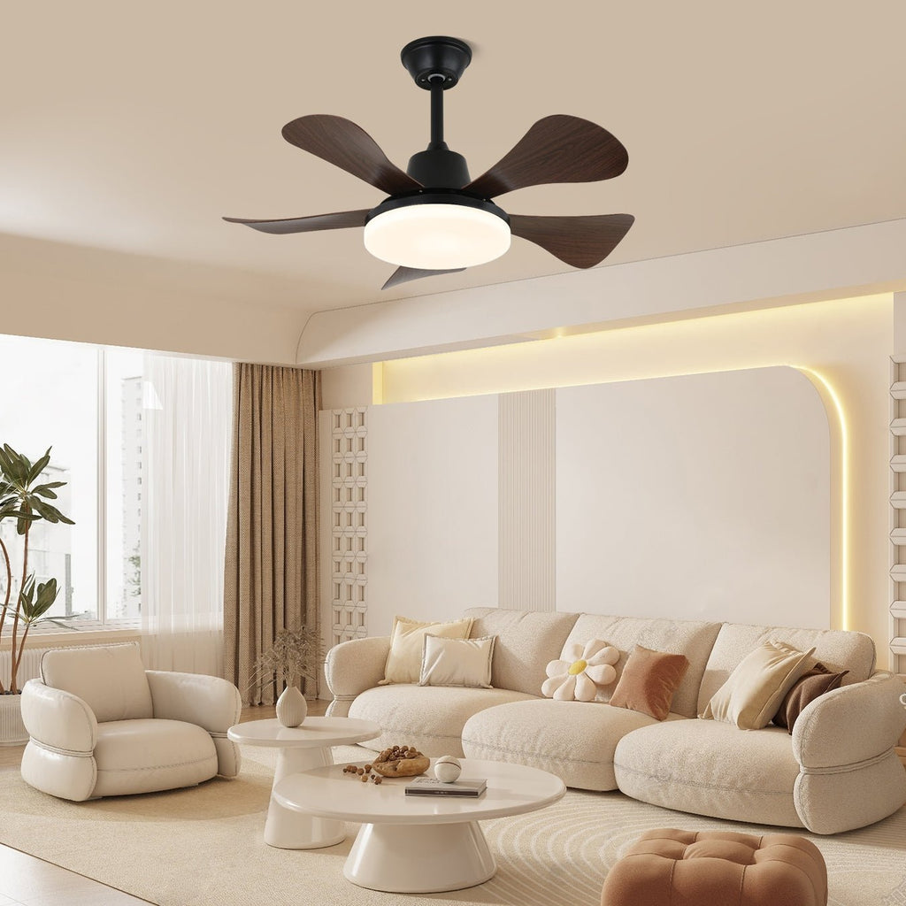 eliza-ceiling-fan-light-anzaz--2
