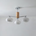 elliptical-persimmon-chandelier-anzaz--18