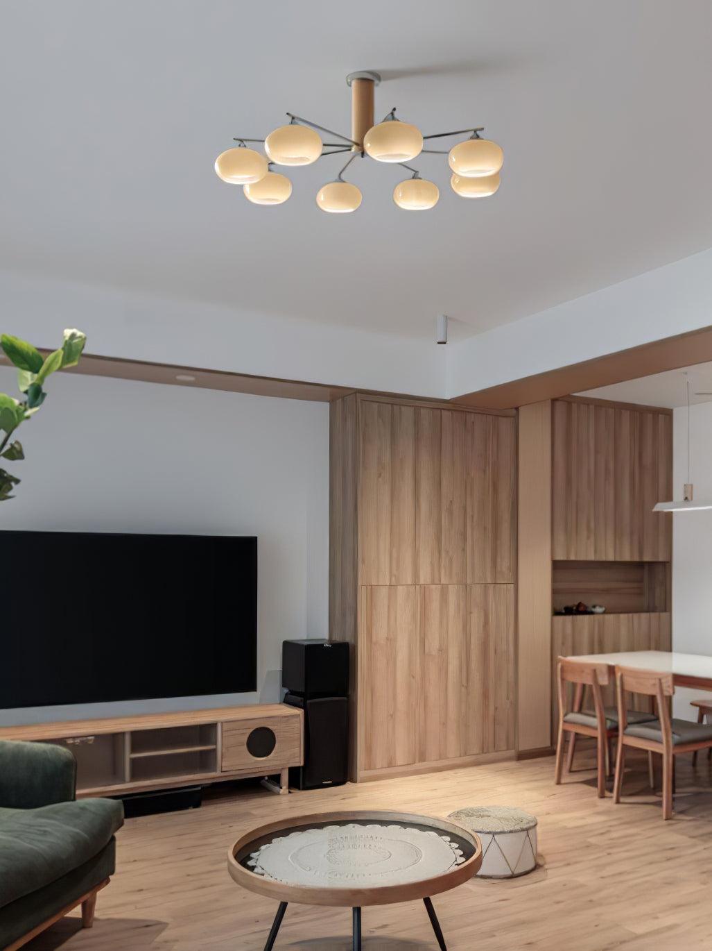elliptical-persimmon-chandelier-anzaz--15