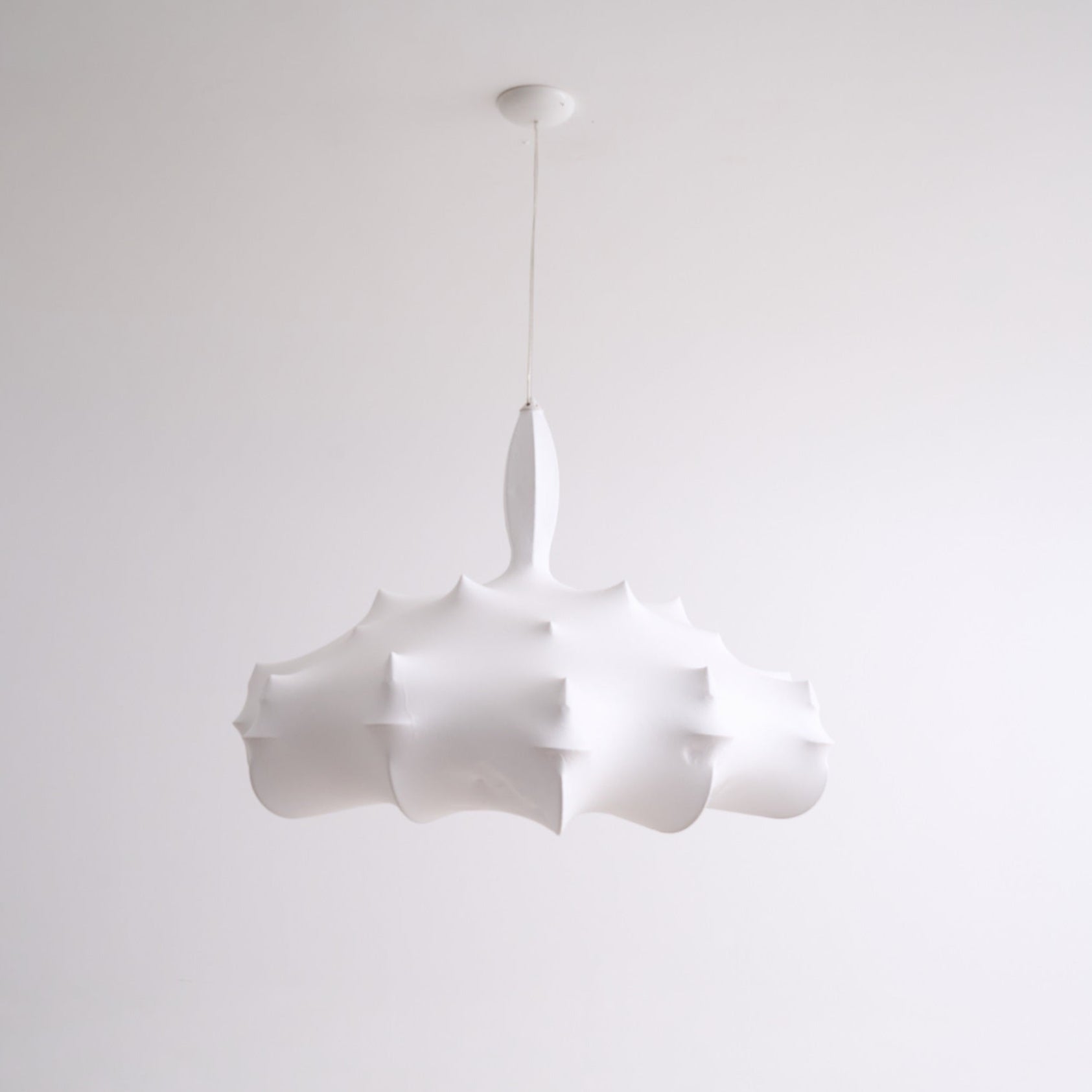 dandelion-bloom-pendant-lamp-anzaz--45