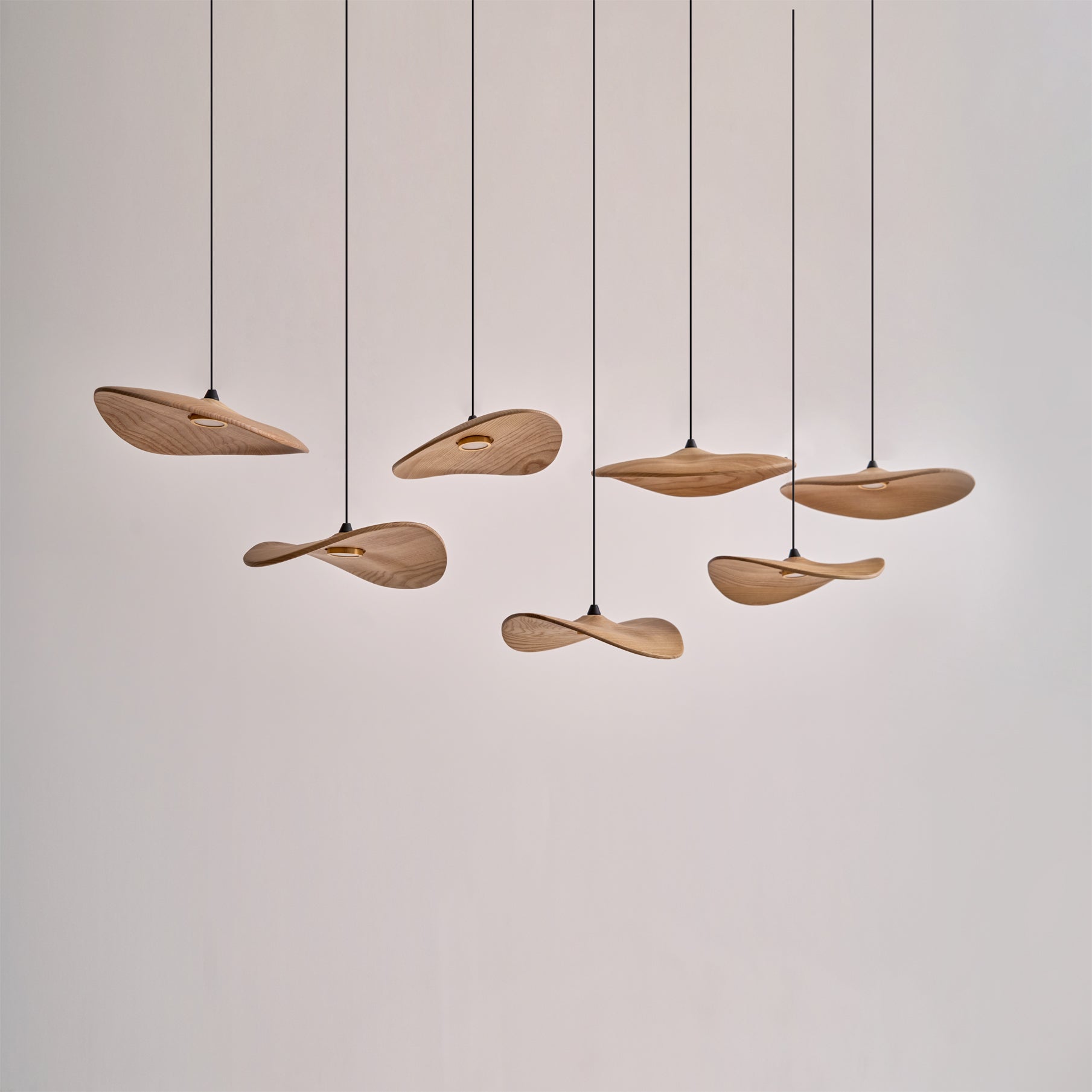 empty-leaf-chandelier-anzaz--65