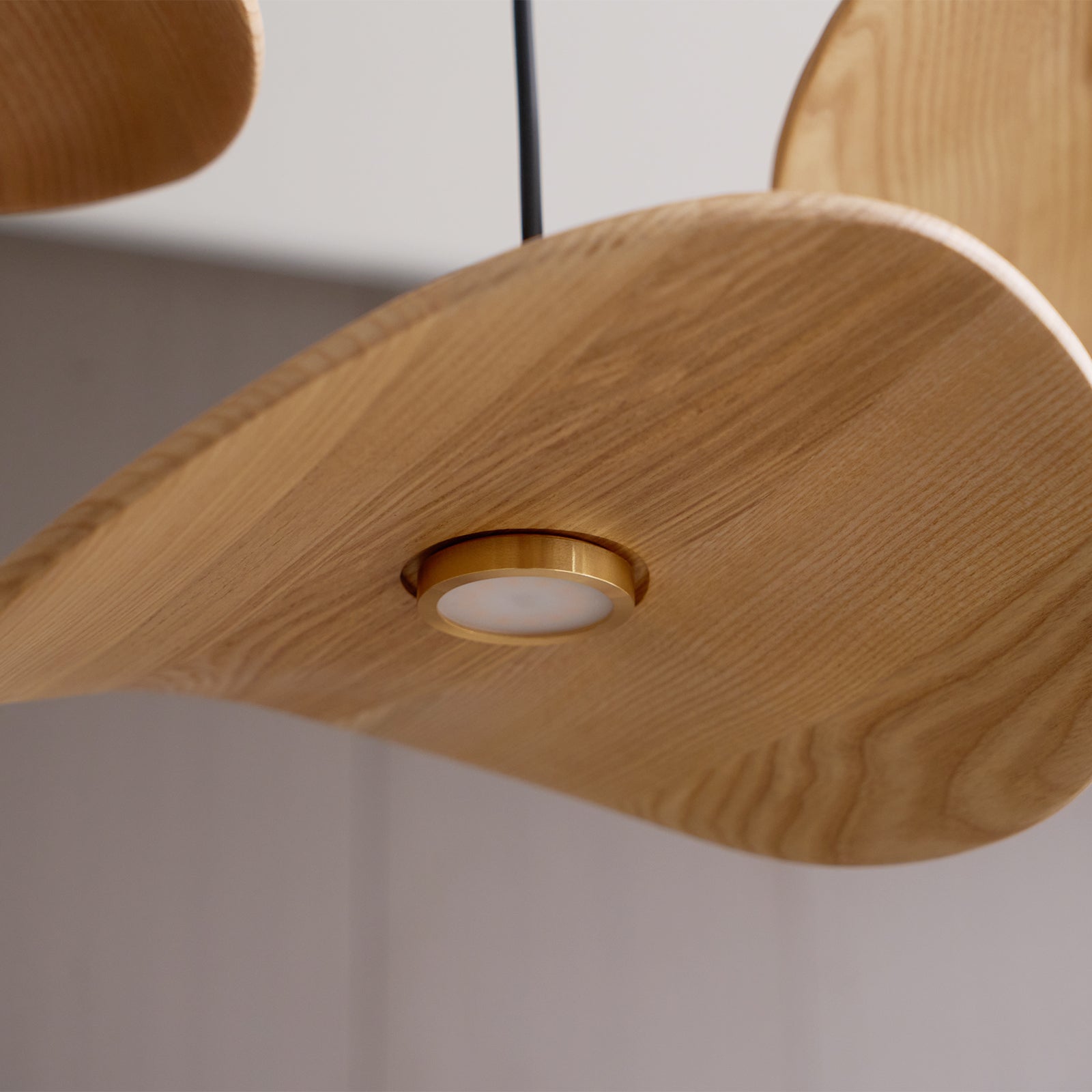 empty-leaf-chandelier-anzaz--58