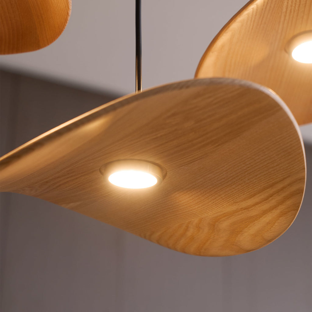 empty-leaf-chandelier-anzaz--62