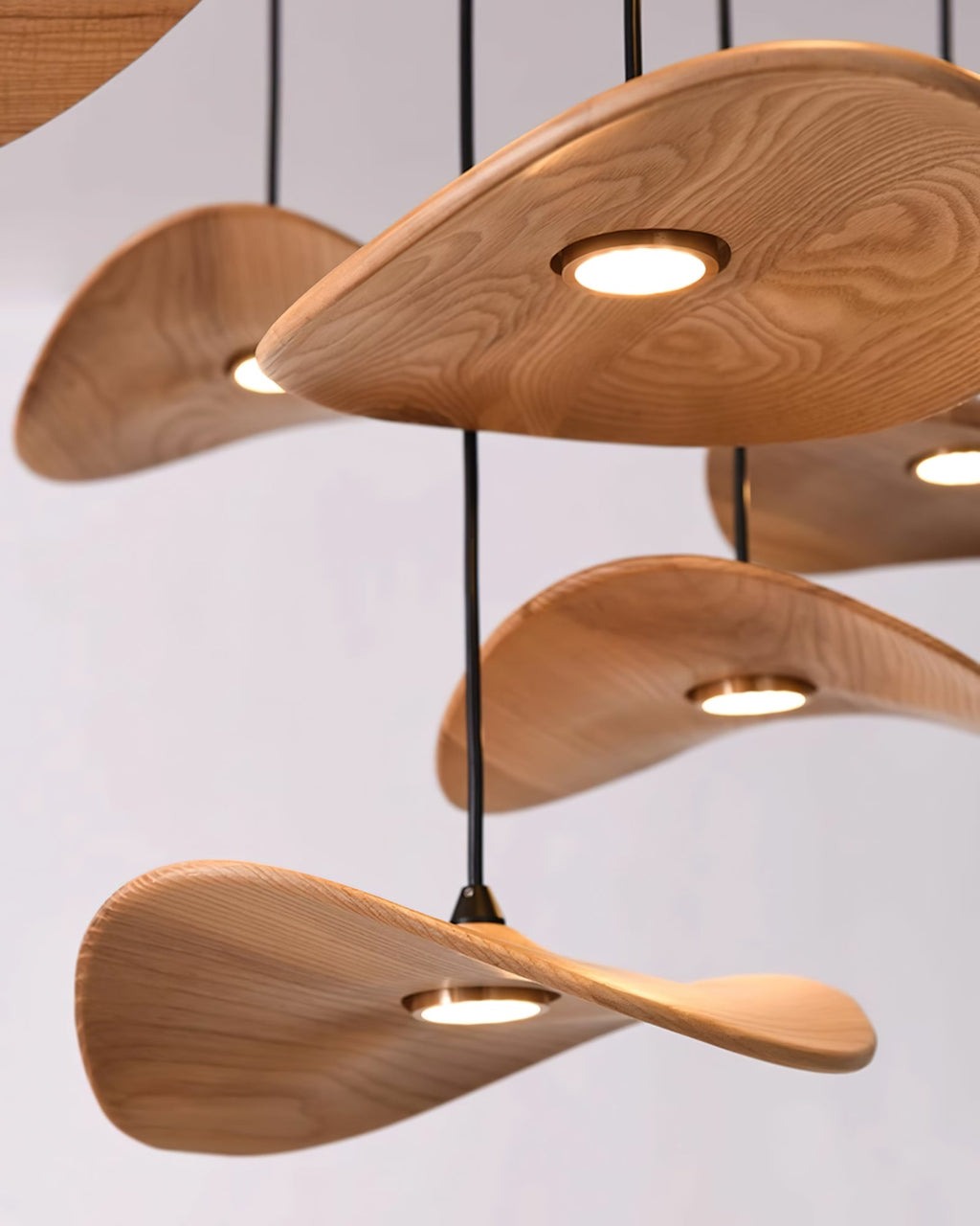 empty-leaf-chandelier-anzaz--28