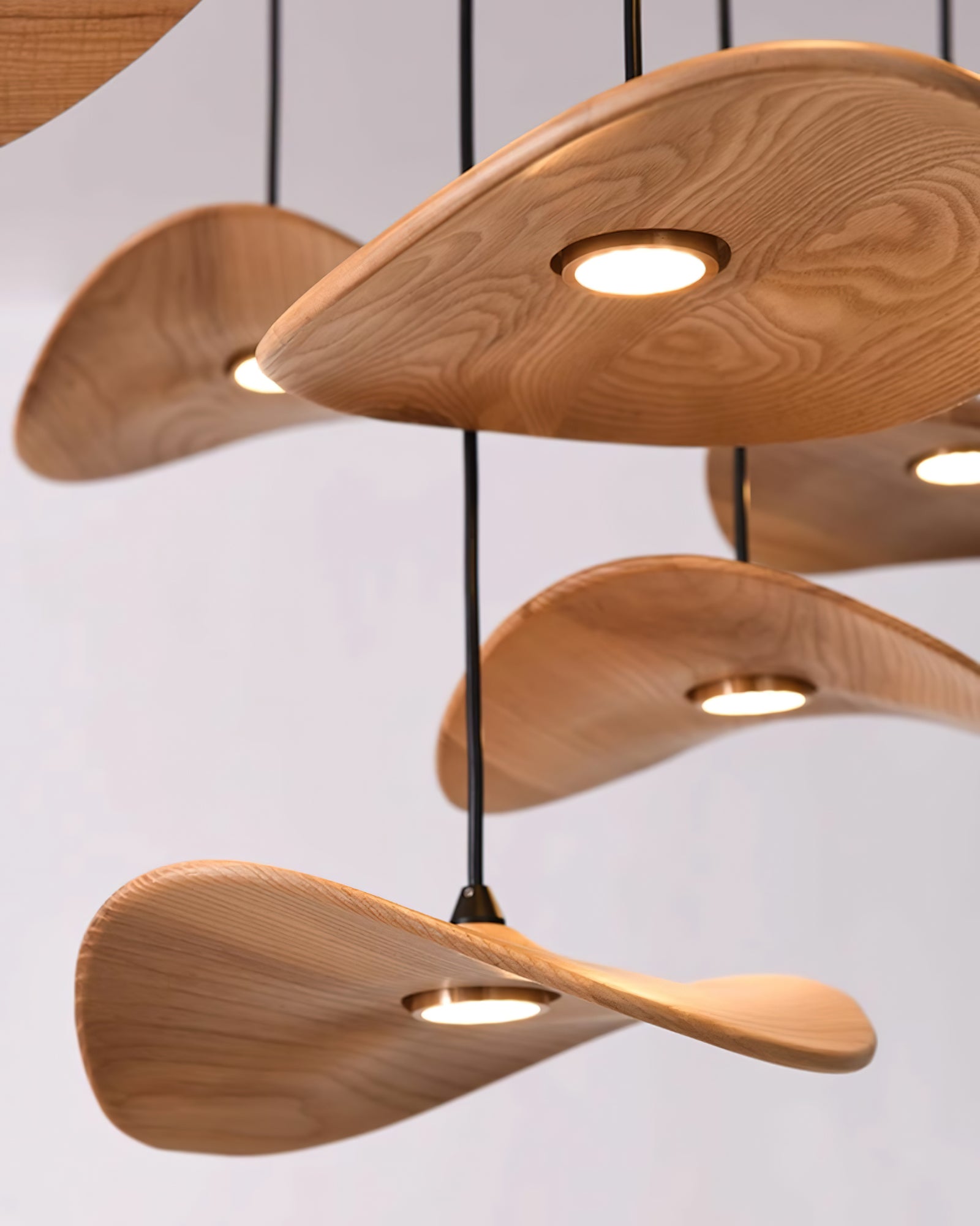 empty-leaf-chandelier-anzaz--28