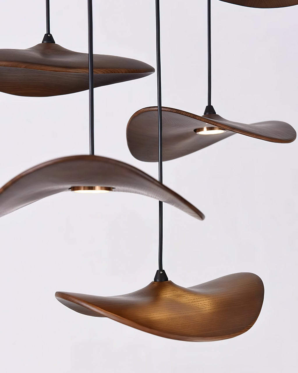 empty-leaf-chandelier-anzaz--30