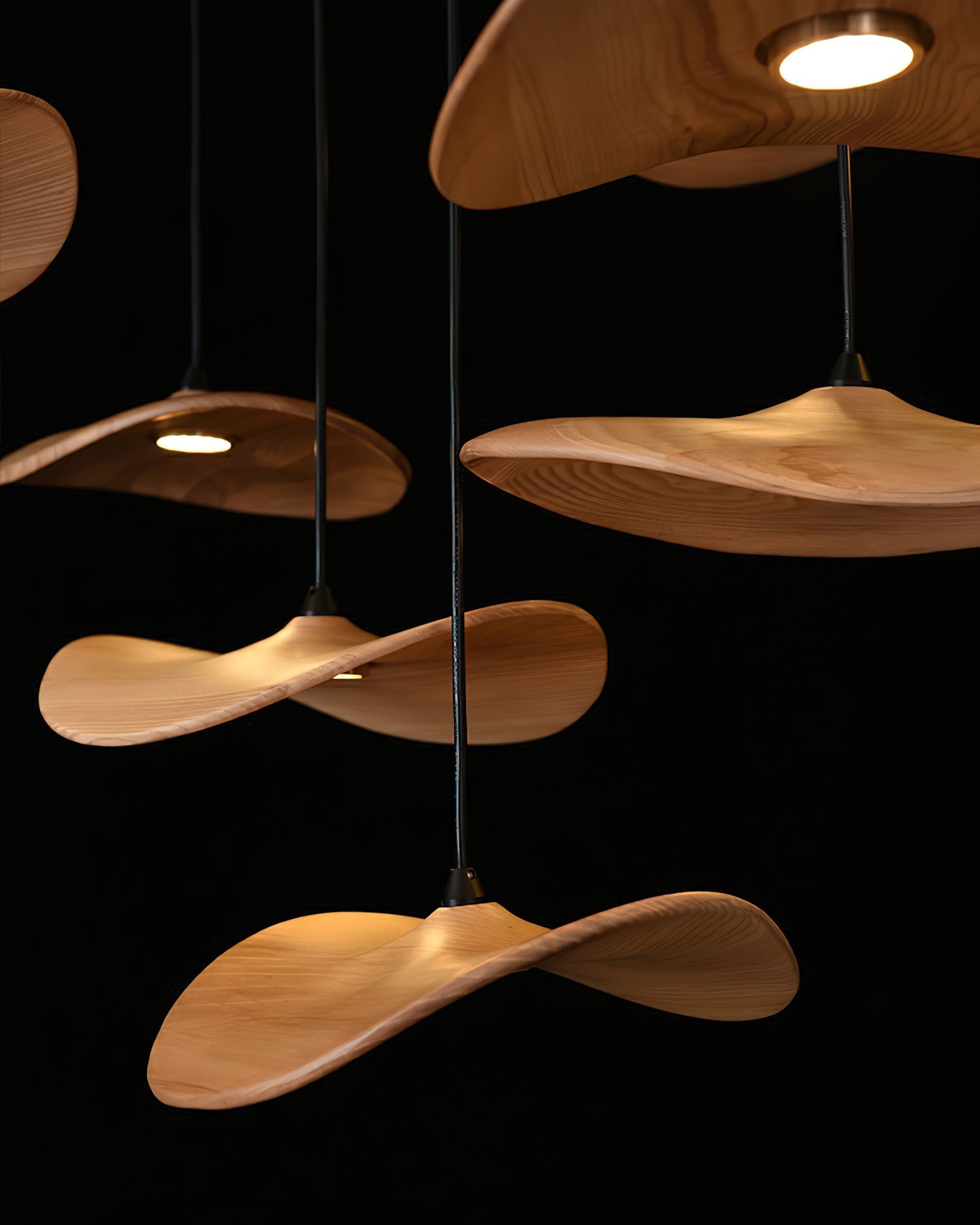empty-leaf-chandelier-anzaz--27